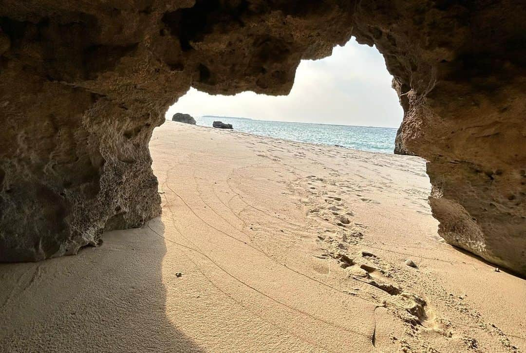 緒方良行さんのインスタグラム写真 - (緒方良行Instagram)「束の間夏探し、無事発見。  シーズンラストスパート、がんばるぞ🔥」10月21日 22時11分 - ogata.yoshiyuki