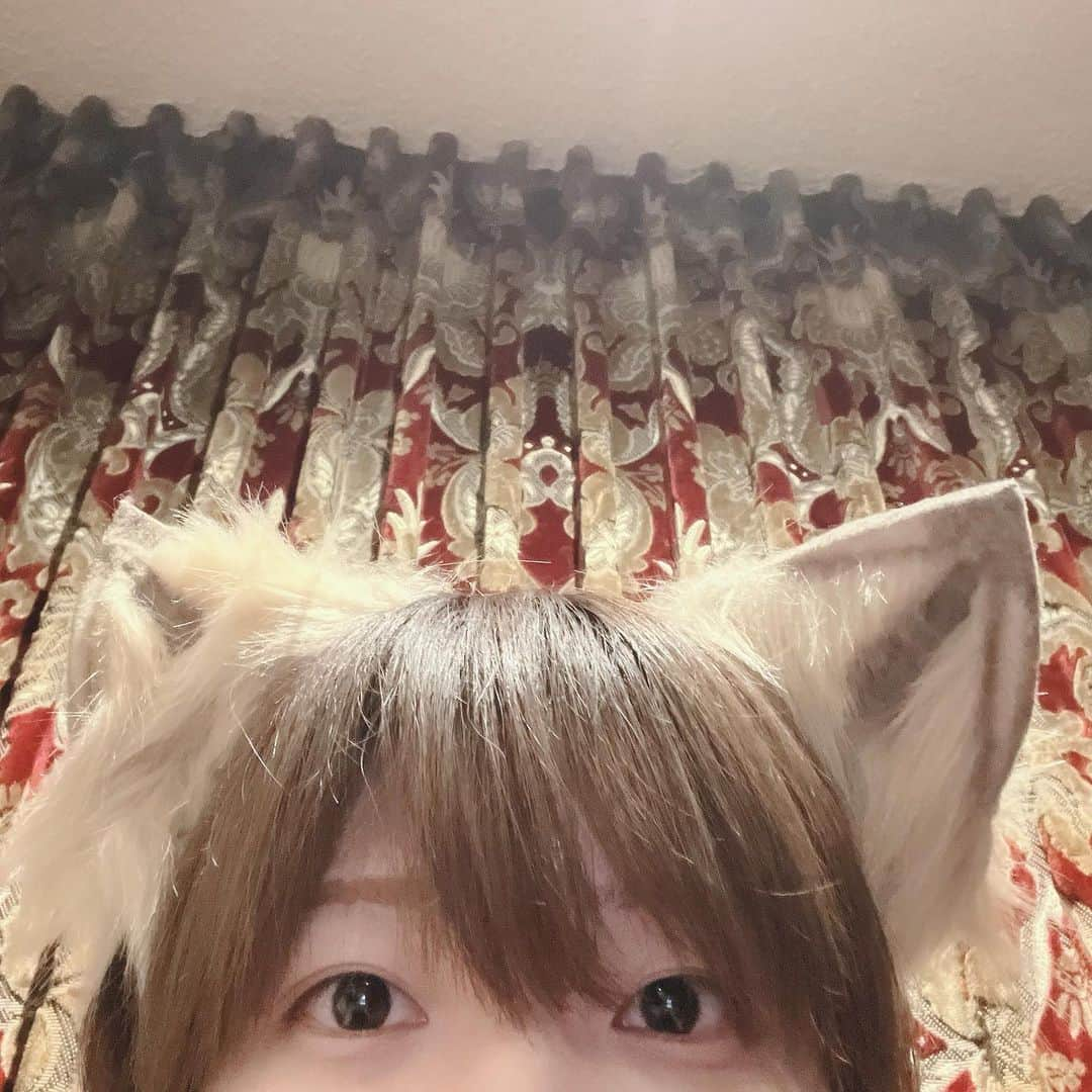 仮屋瀬さつきさんのインスタグラム写真 - (仮屋瀬さつきInstagram)「ハロウィンライブ1日目有難うございました🐺」10月21日 22時52分 - 9bic_satsuki