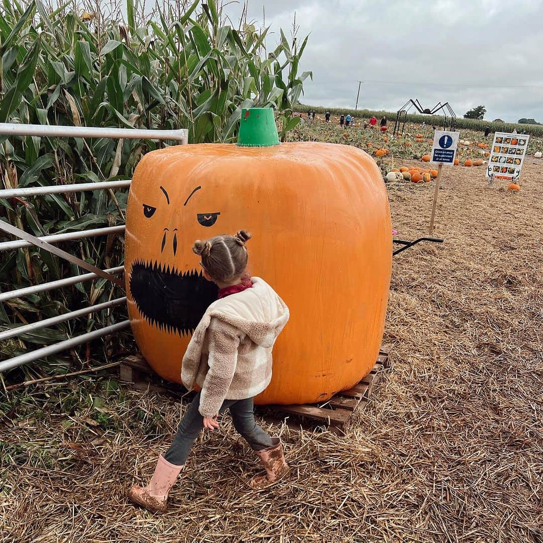 シェール・ロイドさんのインスタグラム写真 - (シェール・ロイドInstagram)「🎃 Pumpkin picking with my favourite people in the world ♥️」10月21日 22時57分 - cherlloyd