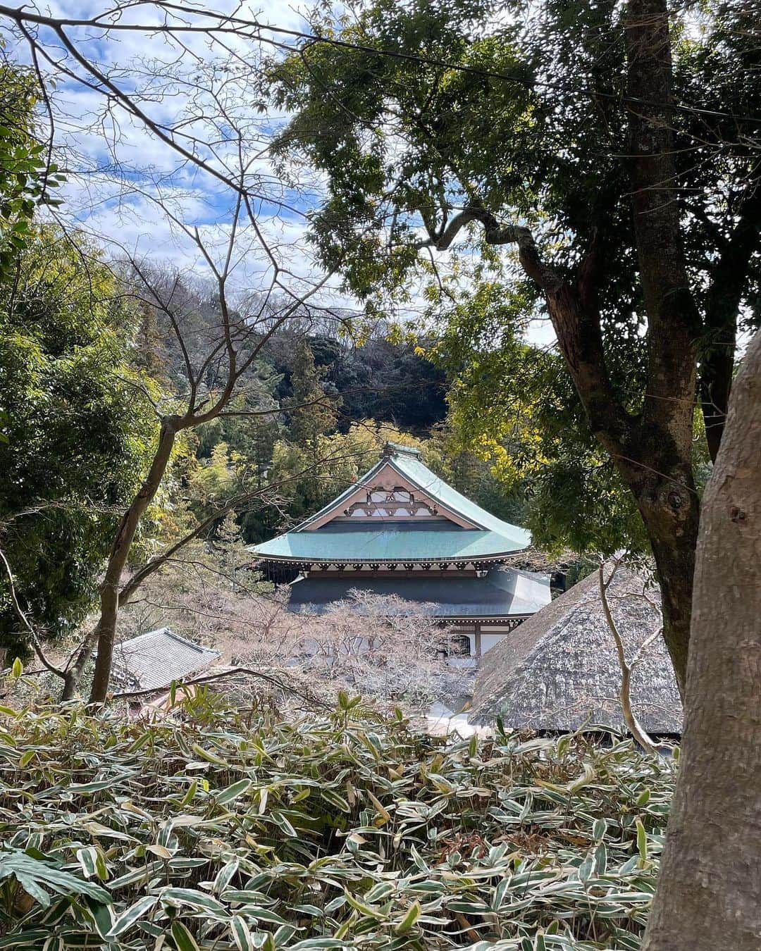 榊いずみさんのインスタグラム写真 - (榊いずみInstagram)「来週末です！  10/29（日）北鎌倉・円覚寺　龍隠庵にてお月見ライブ「満月夜話」やります。  週間予報では晴れ。満月をゆっくり楽しめそうです！  お天気が良いので北鎌倉に来る前に、鎌倉でランチを食べたり、鶴岡八幡宮にお参りしてからゆっくりいらしてくださいね。  ———————  「満月夜話」  10/29（日）  場所：鎌倉・円覚寺　龍隠庵 （鎌倉市山ノ内409） https://www.engakuji.or.jp/ JR横須賀線「北鎌倉駅」下車徒歩1分  時間 : open 16:00 / start 16:30 （終演予定は 19:30です）  チケット：￥8,000（お菓子・お茶代含みます）  https://sakakiizumi.stores.jp/items/650d1e49fe1d6b0776916a94  （プロフィールlinktreeから、和オンラインショップへどうぞ）  ※チケットは返信メールをもって、チケットとさせていただきます。メールは10月以降に発送させていただきます。  このイベントは微力ながら、龍隠庵復興のお手伝いを目的としております。  ———————  ヒーリング楽器などによるライブ、菓子屋ここのつ・溝口実穂さんによる月のお菓子とお茶、書家・中島瞻風先生によるライブパフォーマンス。和による弾き語りライブ。  たっぷり満月とともにお楽しみください。  この日は60年に一度の、国宝・洪鐘（弁財天様がまつられてます）のお祭りの日でもあります。江ノ島神社と円覚寺のお祭りだそうです。弁財天様は歌や芸事の神様。何か縁を感じます。ぜひお時間がありましたら、そちらもお楽しみください（9:30〜12:30）。  #和izumi #橘いずみ #榊いずみ #満月夜話 #溝口実穂 #中島瞻風 #北鎌倉 #円覚寺 #龍隠庵 #洪鐘弁天大祭」10月21日 23時14分 - izumizmroom