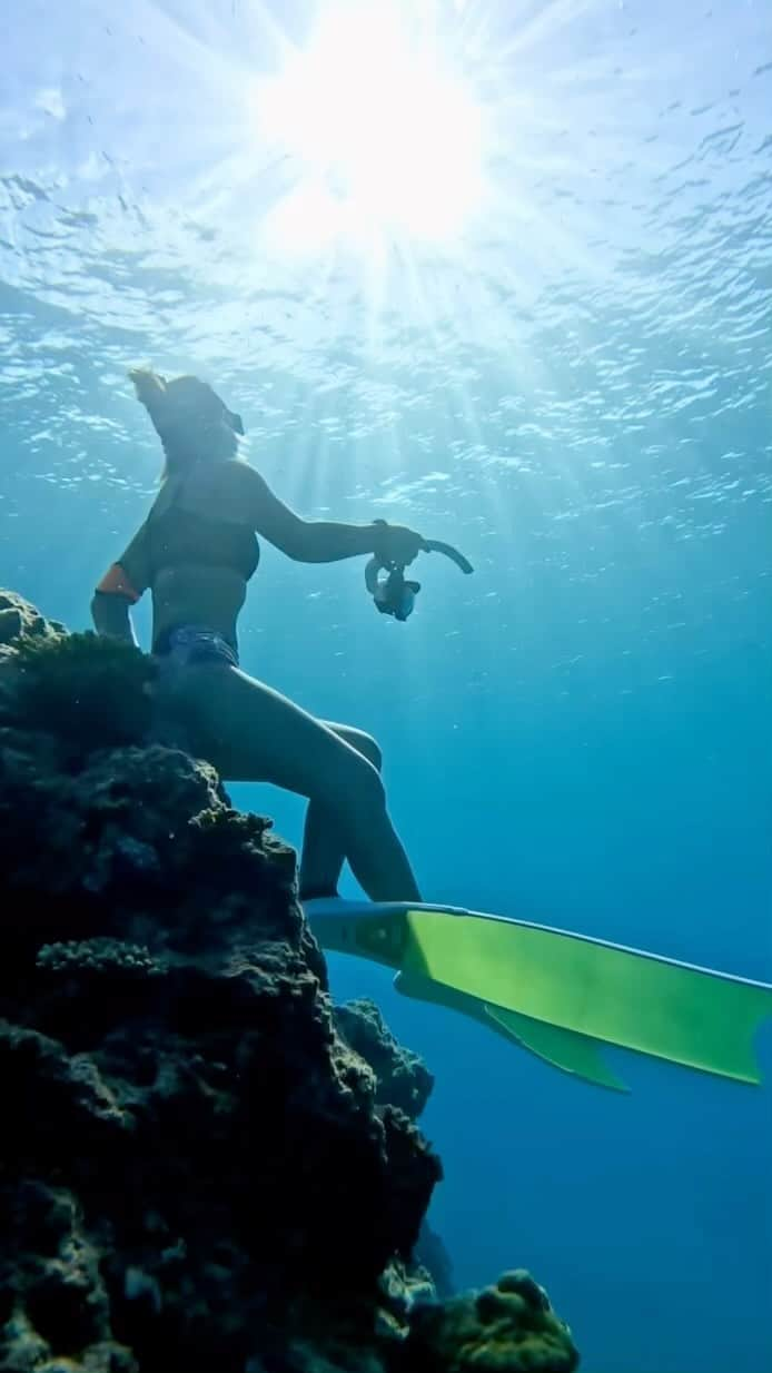 ToyoMaruのインスタグラム：「Let's go to the  SEA🏖️🧜‍♀️🫧  「控えめに言って、最高✨✨  海の中から見る太陽のヒカリの、 シャーーーッ🌞🌞🌞は、 何度見てもテンション上がるし、ウキウキしますw  見飽きるってないw いつでも何度でも見たい景色✨  映像じゃなくて、実際にその目で見てもらいたい👀  @goprojp  #gopro12  慶良間諸島・チービシ無人島へ🏝 那覇から船で約20分で到着🛥  水中撮影🐟 ドローン撮影🚁 360度カメラ撮影 映え撮影はお任せください😁  皆さんと素敵な瞬間を共有できることを 楽しみにしてます🧜‍♀️🌺🫧  ◆◆◆2023とよまるツアー◆◆◆ ・無人島映えツアー🏝 ・スキンダイビングツアー ・1日1組限定🏖船チャーター海遊び⚓️ ・慶良間ダイビング🤿 ・ジェットスキーツーリング🌊 ・船上BBQ🍖…etc お気軽になんでもリクエストください😁  2023年2月〜3月 沖縄本島・那覇発🛥ホエールスイム🐳  2023年1月〜4月 与那国trip✈️ハンマーツアー🦈  2023年11月モルディブtrip✈️ 初の島ステイが実現🏖  開催します👏👏👏 それぞれ詳細お知らせします🤗 ご興味ある方📩DMください！ ご予約・お問い合わせお待ちしております ⚓️⚓️⚓️⚓️⚓️⚓️⚓️⚓️  #映え職人  #映えまる  #映えまる水産  #とよまるツアー  #toyomaru号  #okinawa  #skindiving  #gopro  #travel  #sea  #沖縄 #沖縄旅行 #旅行  #スキンダイビング  #無人島 #水着  #慶良間諸島 #ドローン  #インスタ映え  #網美景點 #沖繩 #沖繩旅遊  #潛水 #自由潛水  #leaderfins #タビジョ」