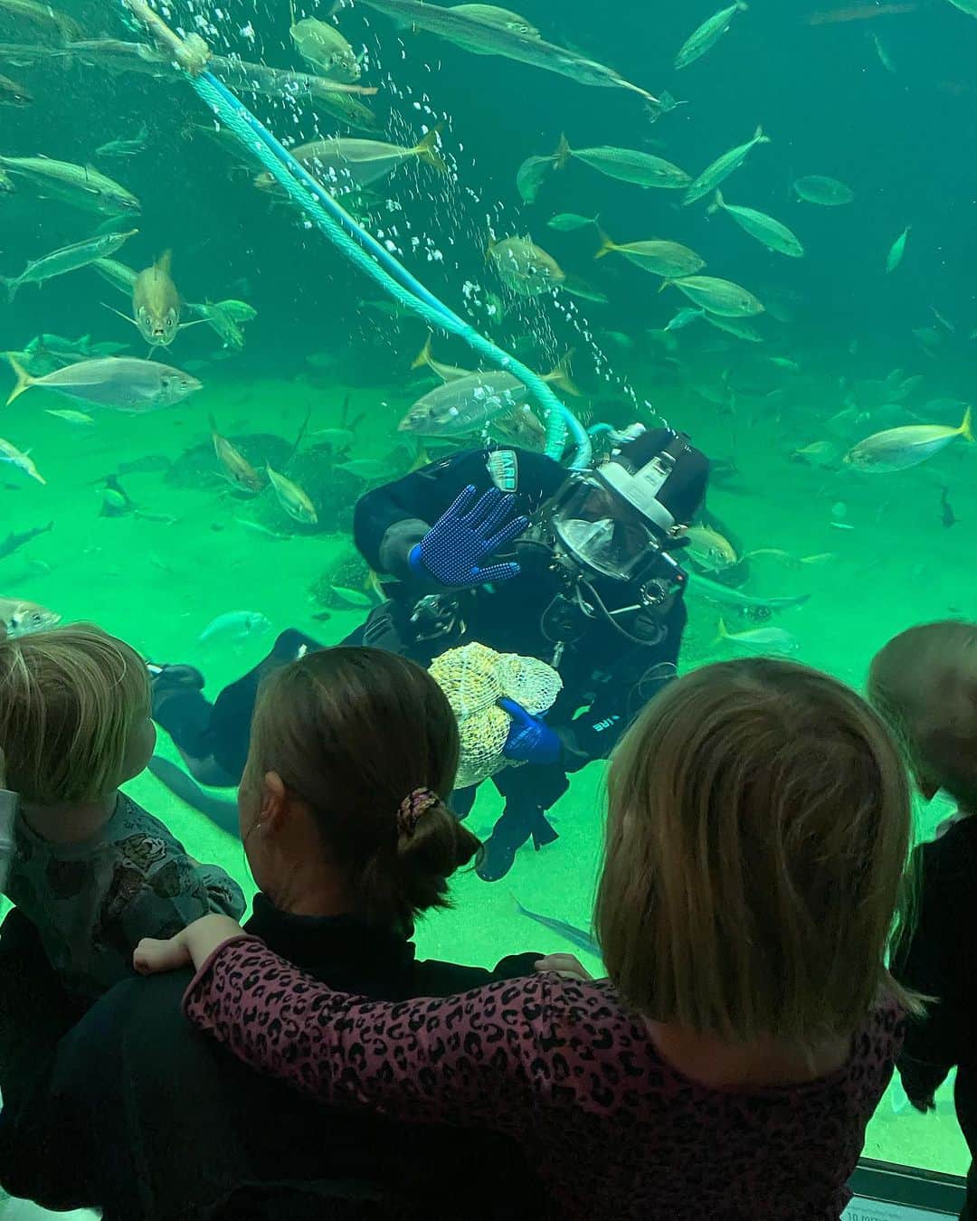 カミラ・リター・ユール & クリスティナ・ペデルセンのインスタグラム：「Vi har haft den dejligste dag i @nordsoenoceanarium - kæmpe anbefaling herfra🤩   #familietid #morogmor #hygge」