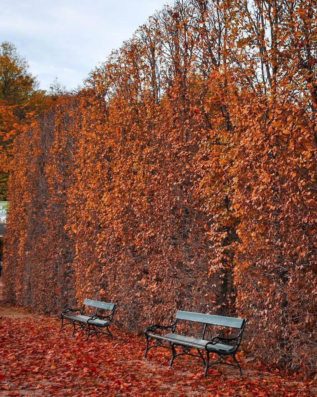 Wien | Viennaさんのインスタグラム写真 - (Wien | ViennaInstagram)「Spend your weekend surrounded by the warm colours of autumn in Vienna. 🥰🍁🍂 by @missviktoriascarlett #ViennaNow  #vienna #wien #vienna_austria #viennagoforit #ilovevienna #autumn #schönbrunn #schlossschönbrunn #wienliebe #travelgram #traveleurope #travelphotography #autumn #herbst #herbstliebe」10月21日 23時24分 - viennatouristboard