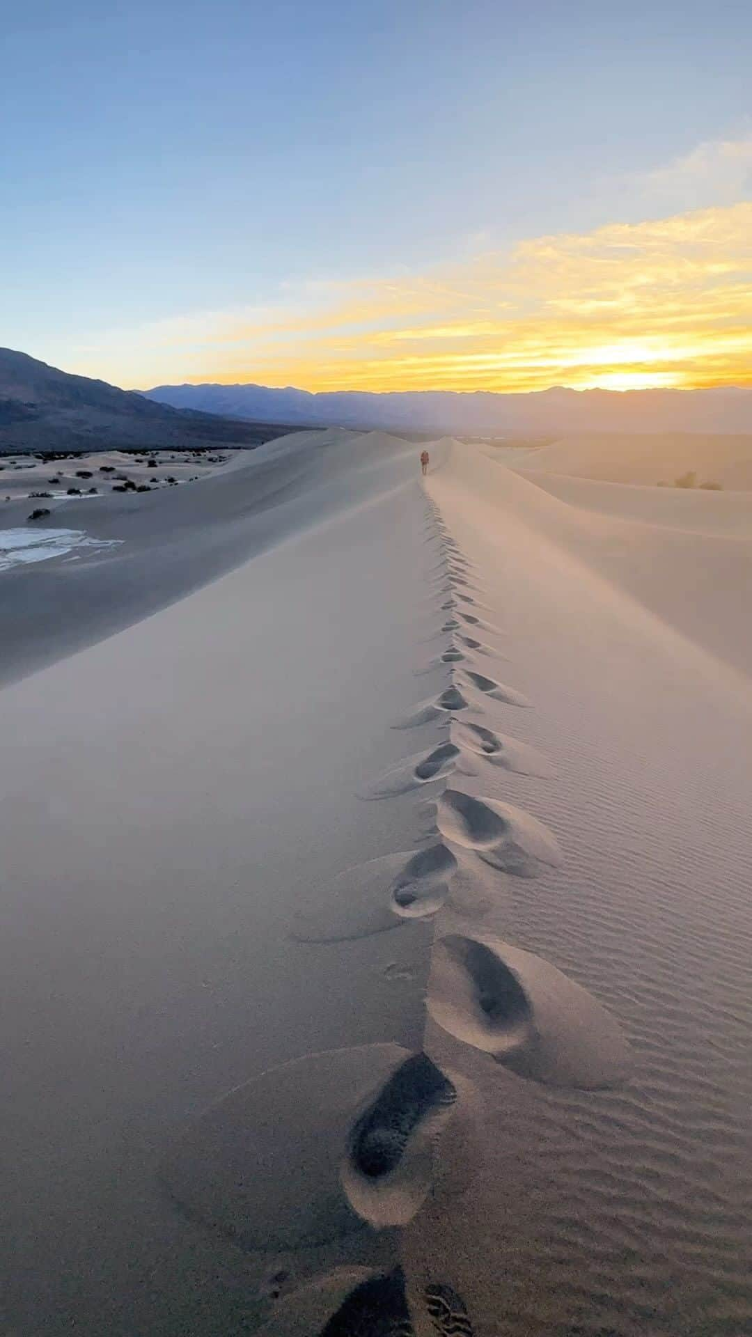 クリス・バーカードのインスタグラム：「I grew up around Sand Dunes. Just a stones throw from where I used to live there was miles and miles of dune fields. For some reason this landscape has always felt calming to me.. my connection to them almost spiritual. I have explored many of the Dune fields in the USA and I would rank Mesquite Dunes to be up there in the top 5.   An amazing week shooting for a new @natgeo books project.」