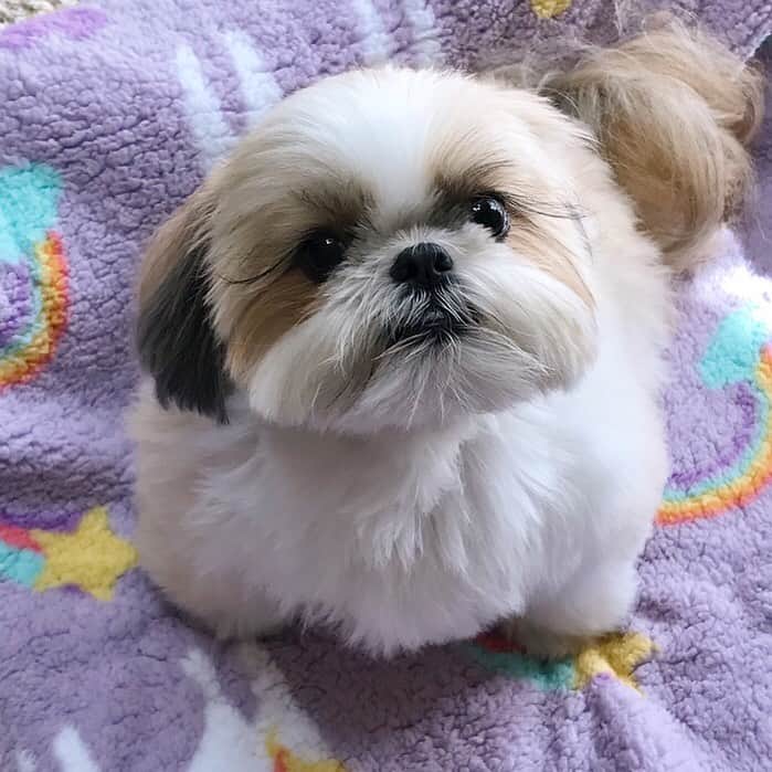 りんくのインスタグラム