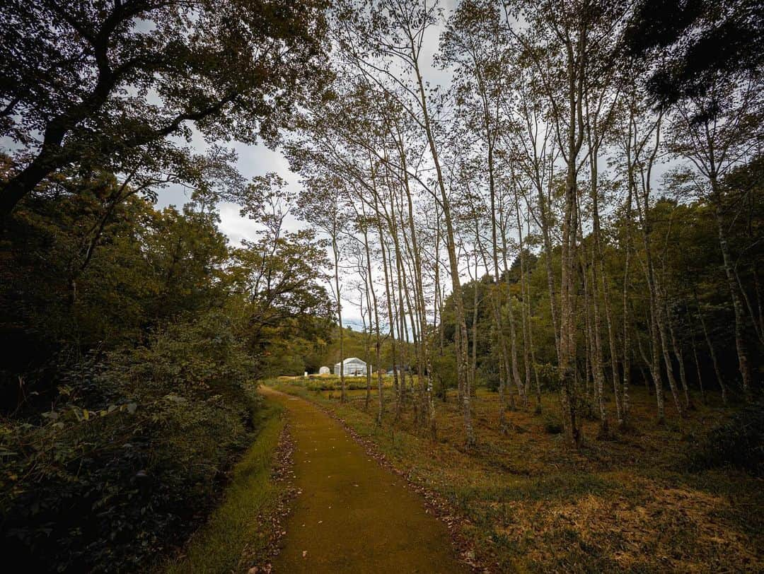 宇野陽介さんのインスタグラム写真 - (宇野陽介Instagram)「Autumn. Nature. Culture. Sports.  #aresbikes #bmx #flatland #dvsshoes  #madbunoy #nature #hyogo #freestyle #lumixphotography  #lumixjapan」10月22日 0時44分 - yorkuno