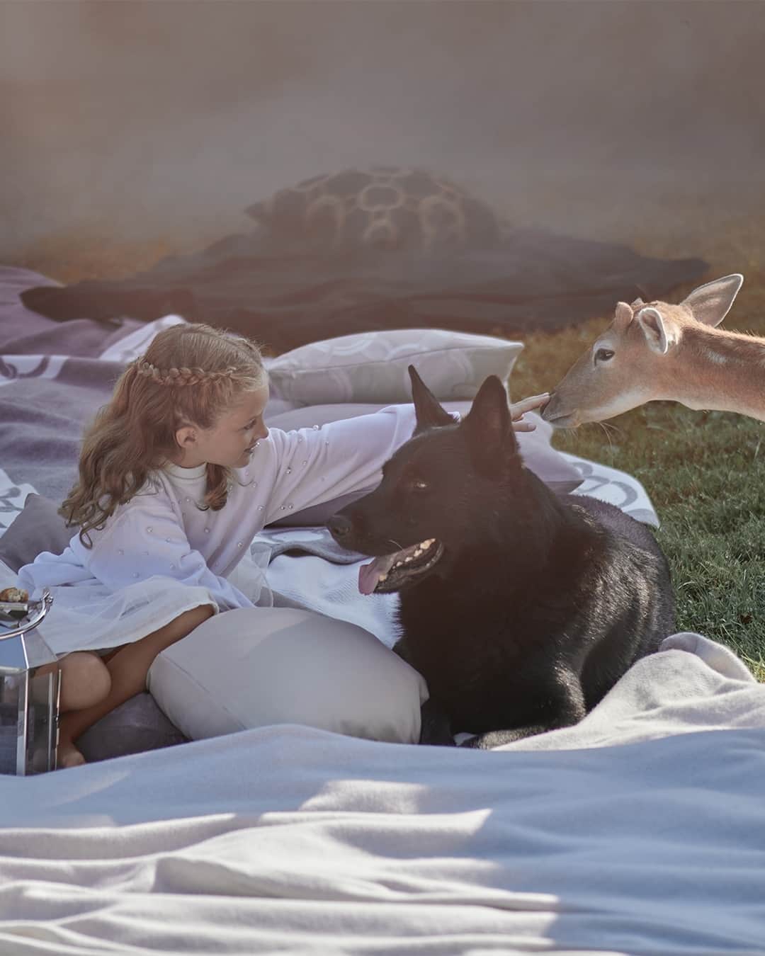 フレッテのインスタグラム：「Indulge in the warmth and magic of the holidays with meticulously crafted pieces, featuring exquisite decorative accents designed to enhance spaces beyond the bedroom. ⁠ ⁠ #Frette #MomentsOfDreaming」