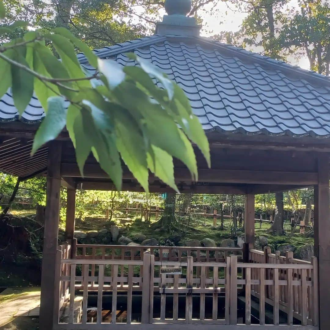 須藤美樹さんのインスタグラム写真 - (須藤美樹Instagram)「金沢最終日は観光へ🎵  初の金沢神社⛩️  ここで、砂金を洗っていたから金洗いの沢で金沢になったらしい💖なんか金運上がりそう💰  すごい氣がよくてここちよい場所❇️  素敵な動画と写真が撮れて、大満足💯🎊  なんかじわじわ運氣に効いてるかんじ🎶  各々自由に過ごして居心地よい仲間と参拝できてよかったです🐲🙏  合宿のお陰か、みんなの得意、不得意がわかってるので補い合ってチームワークのとれた完璧観光になりました⭐  チームプレーの効率の良さを遊びながらも学ぶ❗そんな観光でしたん🐶  続く→→→→→  #金沢 #金沢神社 #石川県 #金運 #神社 #JAPAN #チーム #観光」10月22日 1時04分 - odorukaiunshi