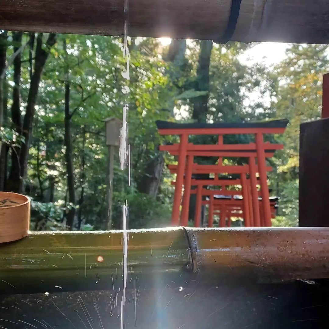 須藤美樹のインスタグラム：「金沢最終日は観光へ🎵  初の金沢神社⛩️  ここで、砂金を洗っていたから金洗いの沢で金沢になったらしい💖なんか金運上がりそう💰  すごい氣がよくてここちよい場所❇️  素敵な動画と写真が撮れて、大満足💯🎊  なんかじわじわ運氣に効いてるかんじ🎶  各々自由に過ごして居心地よい仲間と参拝できてよかったです🐲🙏  合宿のお陰か、みんなの得意、不得意がわかってるので補い合ってチームワークのとれた完璧観光になりました⭐  チームプレーの効率の良さを遊びながらも学ぶ❗そんな観光でしたん🐶  続く→→→→→  #金沢 #金沢神社 #石川県 #金運 #神社 #JAPAN #チーム #観光」