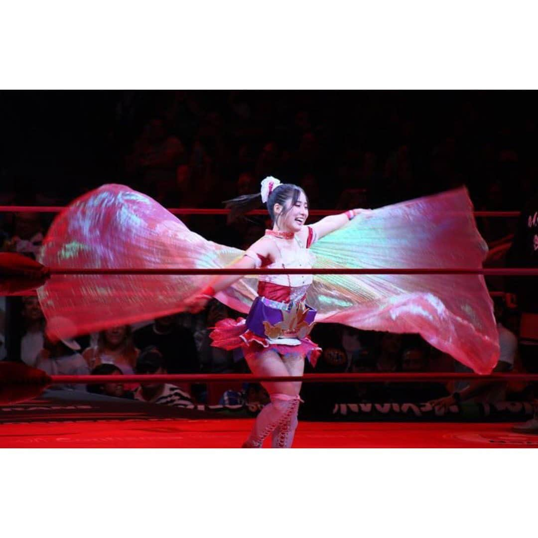 駿河メイのインスタグラム：「In Arena Mexico.  With my favorite wing and Asia Dream Tag Belt 🦋💜  #ChocoPro #gtmv #Cmll #mexico」