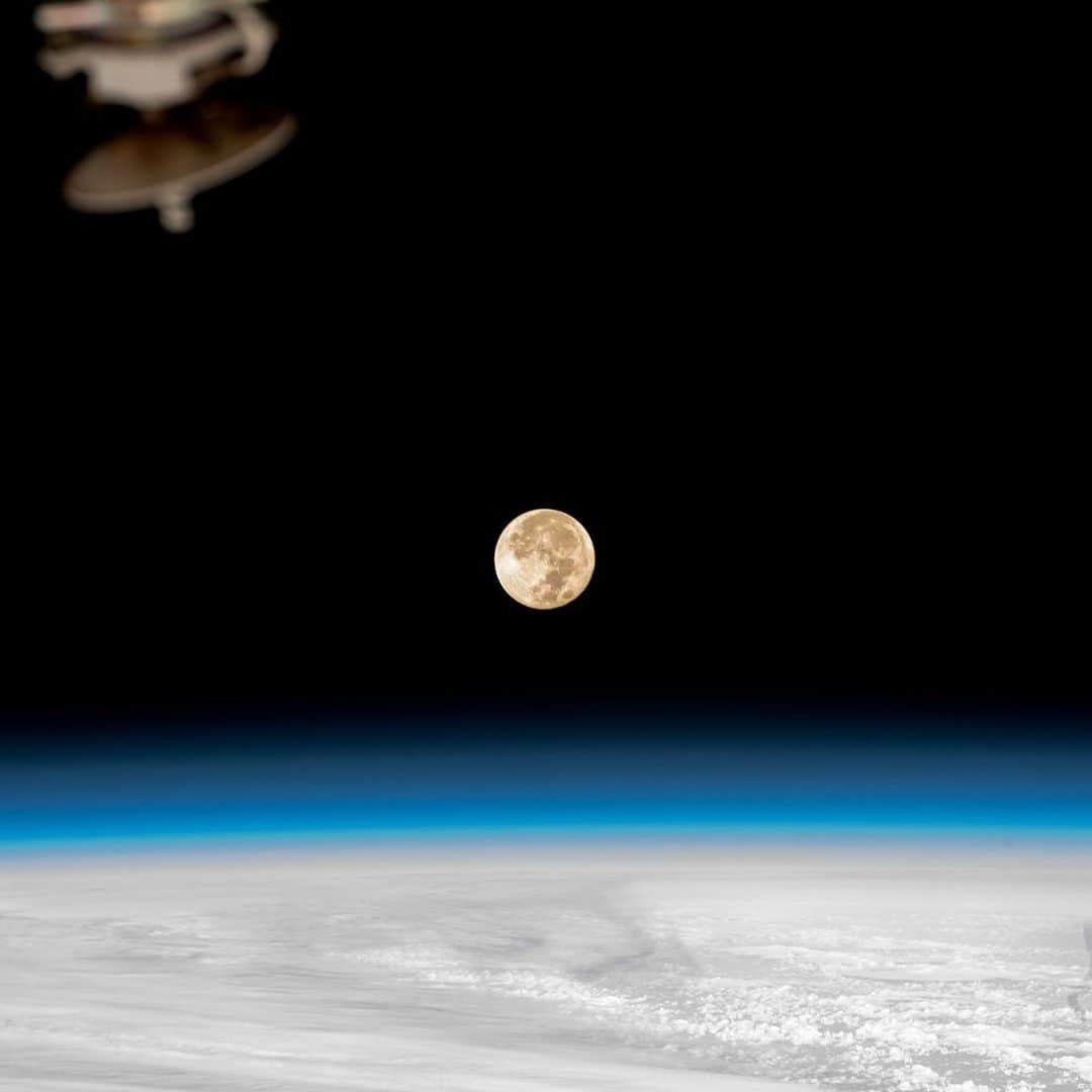 国際宇宙ステーションのインスタグラム：「Planning to #ObserveTheMoon tonight? 🌑  Here are some different phases of the Moon photographed from the space station.  Pic 1) The second full Moon in August, both a Blue Moon and supermoon, glows brightly over Earth as the International Space Station orbited 260 miles above the Pacific Ocean.   Pic 2) The Waxing Gibbous Moon is pictured from the International Space Station as it orbited 269 miles above the southern Indian Ocean on Jan. 2, 2023.  Pic 3) Earth's Moon in first quarter phase as United Arab Emirates (UAE) Flight Engineer Sultan Alneyadi captured this photo aboard the International Space Station on July 26, 2023.  Pic 4) The waxing crescent Moon is pictured from the International Space Station as it orbited 267 miles above the Atlantic Ocean southwest of South Africa during an orbital sunrise.  #NASA #international #space #station #Moon #Earth #orbit #sunrise #glow #pacific #ocean #full #waxing #gibbous #crescent」