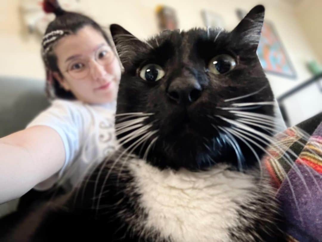志田光のインスタグラム：「Chiiiiill 🐈‍⬛✨ #hikarushida #lifewithcats #猫のいる暮らし」