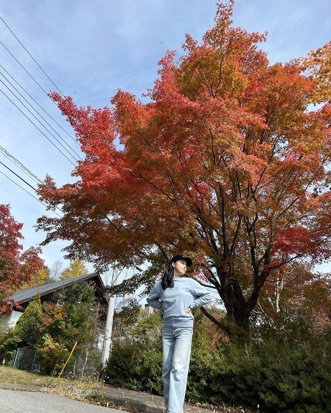 藤あや子さんのインスタグラム写真 - (藤あや子Instagram)「少し早かったけど綺麗に色づき始めてました☺️ #🍁 #八ヶ岳」10月22日 13時05分 - ayako_fuji_official