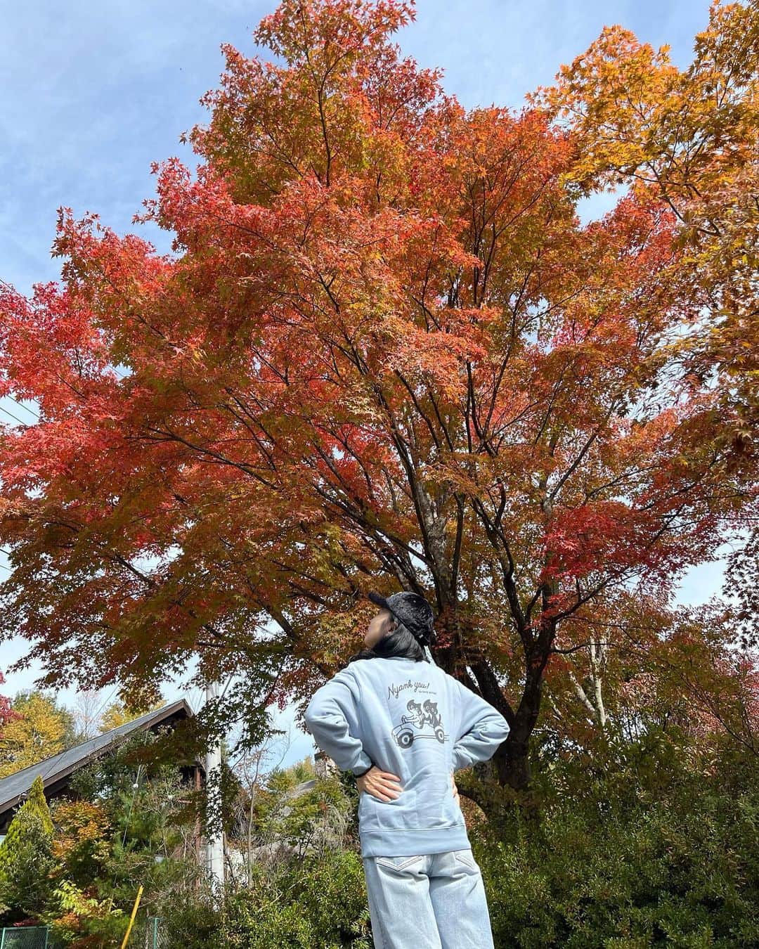 藤あや子のインスタグラム：「少し早かったけど綺麗に色づき始めてました☺️ #🍁 #八ヶ岳」