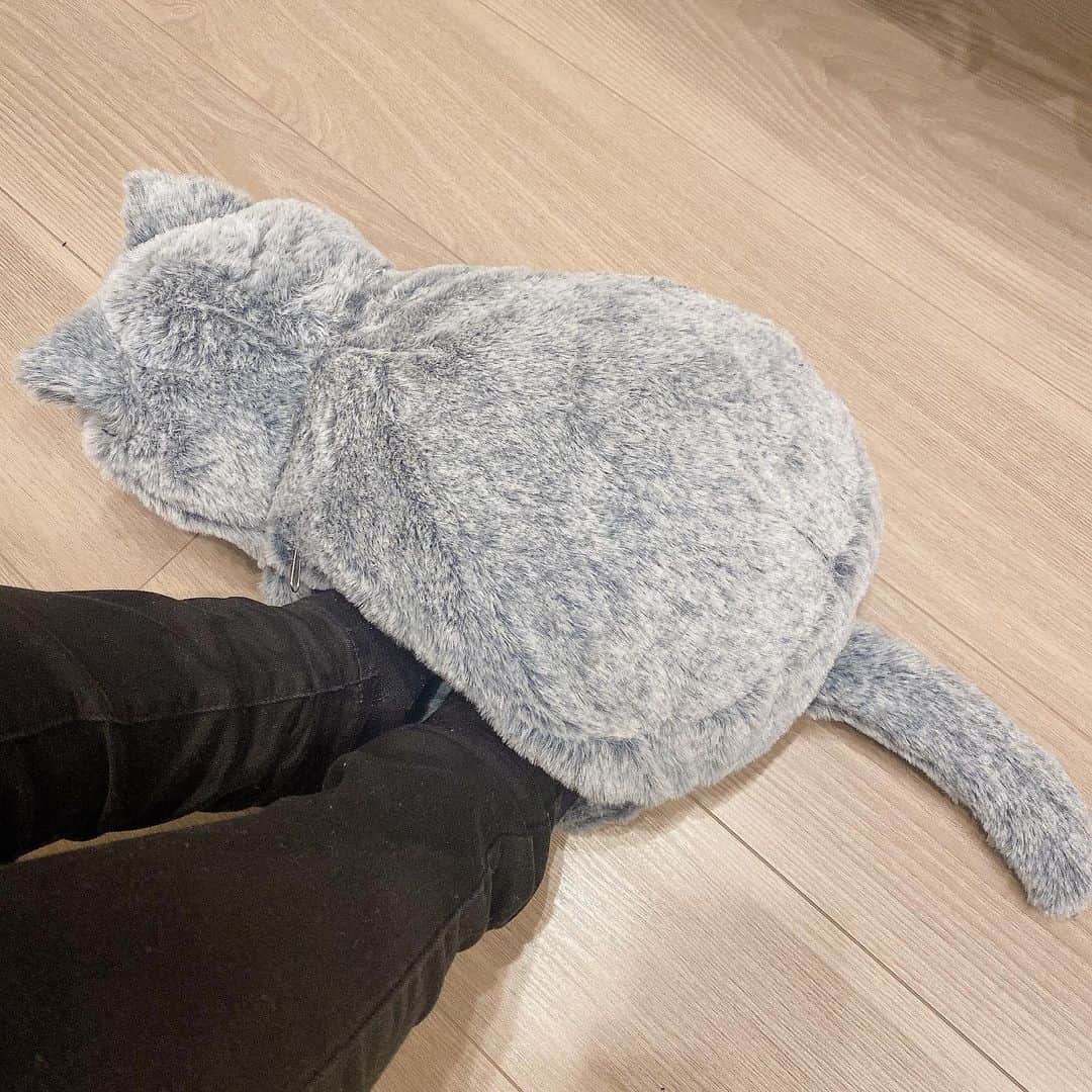 のインスタグラム：「. 我が家の猫ちゃん🐱 ゆたんぽです笑  最近寒くなってきたから猫ちゃんに足元温めてもらってます🫰🏻」