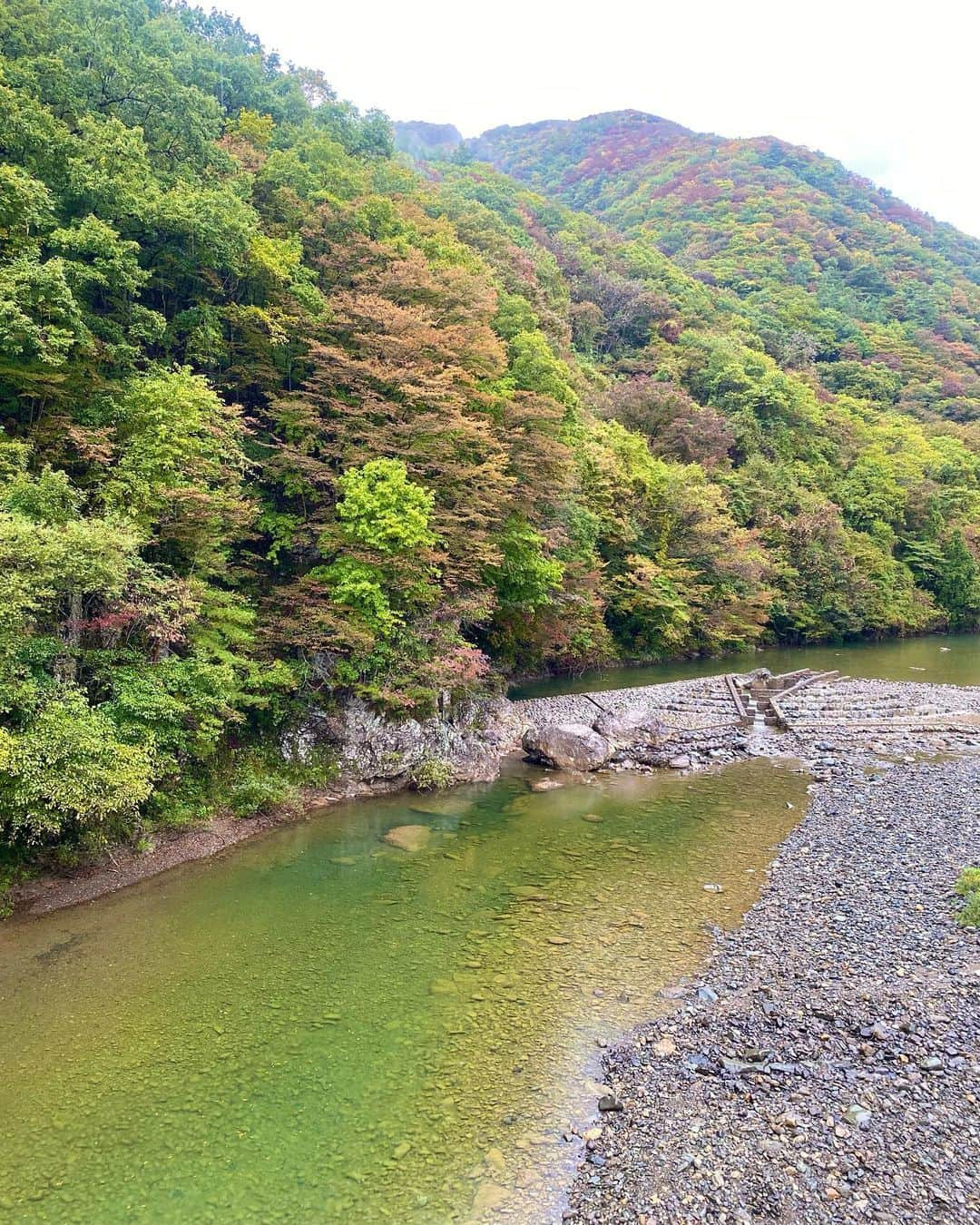 小松﨑花菜のインスタグラム：「・ 取材で秋田県に🌾  色づき始めた紅葉が綺麗でした😊🍁  角館武家屋敷の紅葉は、10月末〜11月頭が見頃になりそうだと地元の方が教えてくれました！  安心して観光を楽しめる環境が戻ってきますように。 秋田、お邪魔しました👹  #秋田 #抱返り渓谷 #仙北市 #角館 #角館武家屋敷 #なまはげ #比内地鶏 #秋田空港✈️」