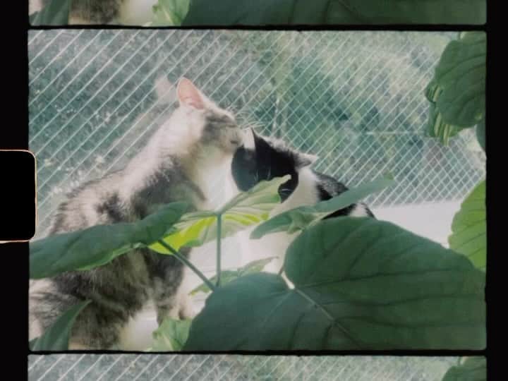 浅田信一のインスタグラム