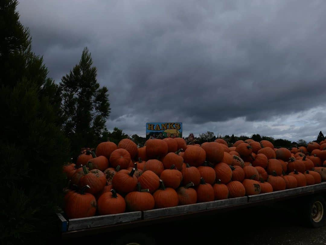 アシュレイ・ベンソンさんのインスタグラム写真 - (アシュレイ・ベンソンInstagram)「🎃」10月22日 4時27分 - ashleybenson