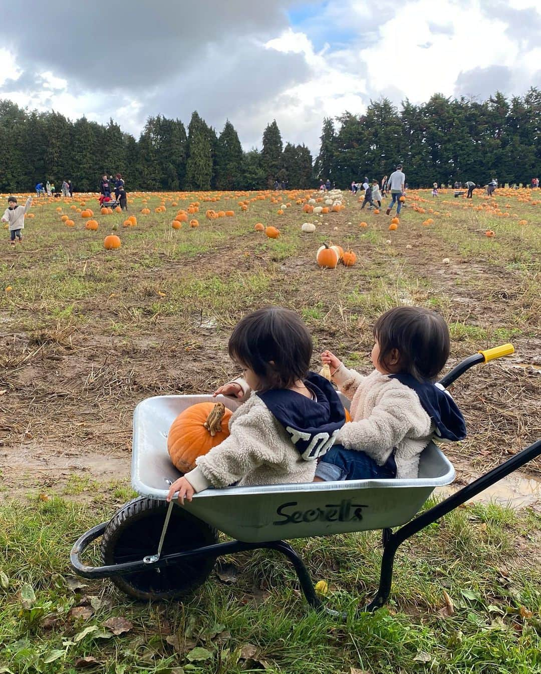 秋元玲奈さんのインスタグラム写真 - (秋元玲奈Instagram)「Pumpkin patch🎃👻  泥まみれになって楽しみました。  #london #londonlife #pumpkinpatch  #halloween2023 #pumpkinfarm  #milford」10月22日 5時28分 - rena_akimoto