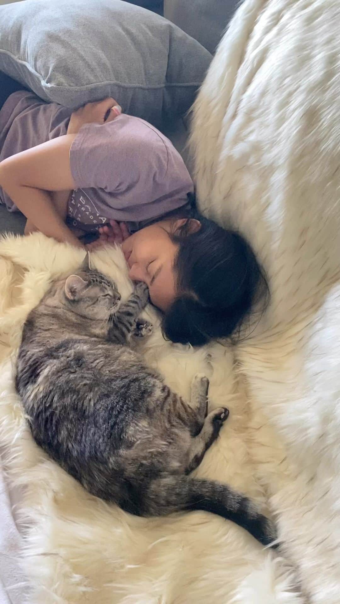 nala_catのインスタグラム：「We’re enjoying our Caturday by eating lots of snacks, napping, and cuddling— how about you? Thank you everyone for your comments on our previous post. Our gratitude is endless! We’ll update you when we get our blood results back ❤️‍🩹 🦷 We love you all!」