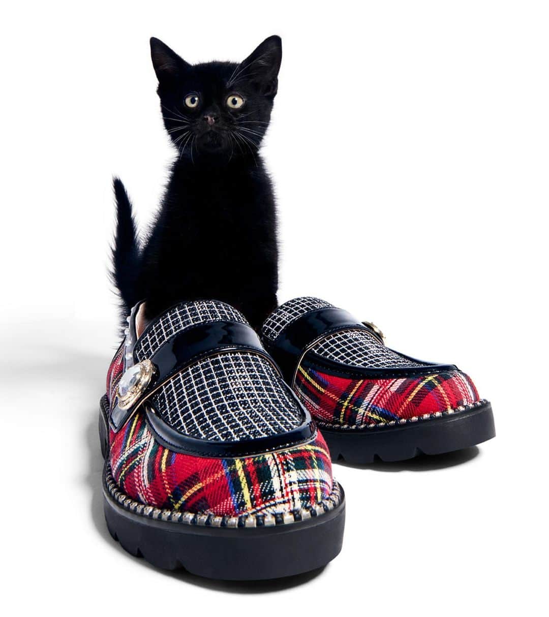 ベッツィジョンソンのインスタグラム：「The purr-fect fall shoes for spooky szn and beyond.」