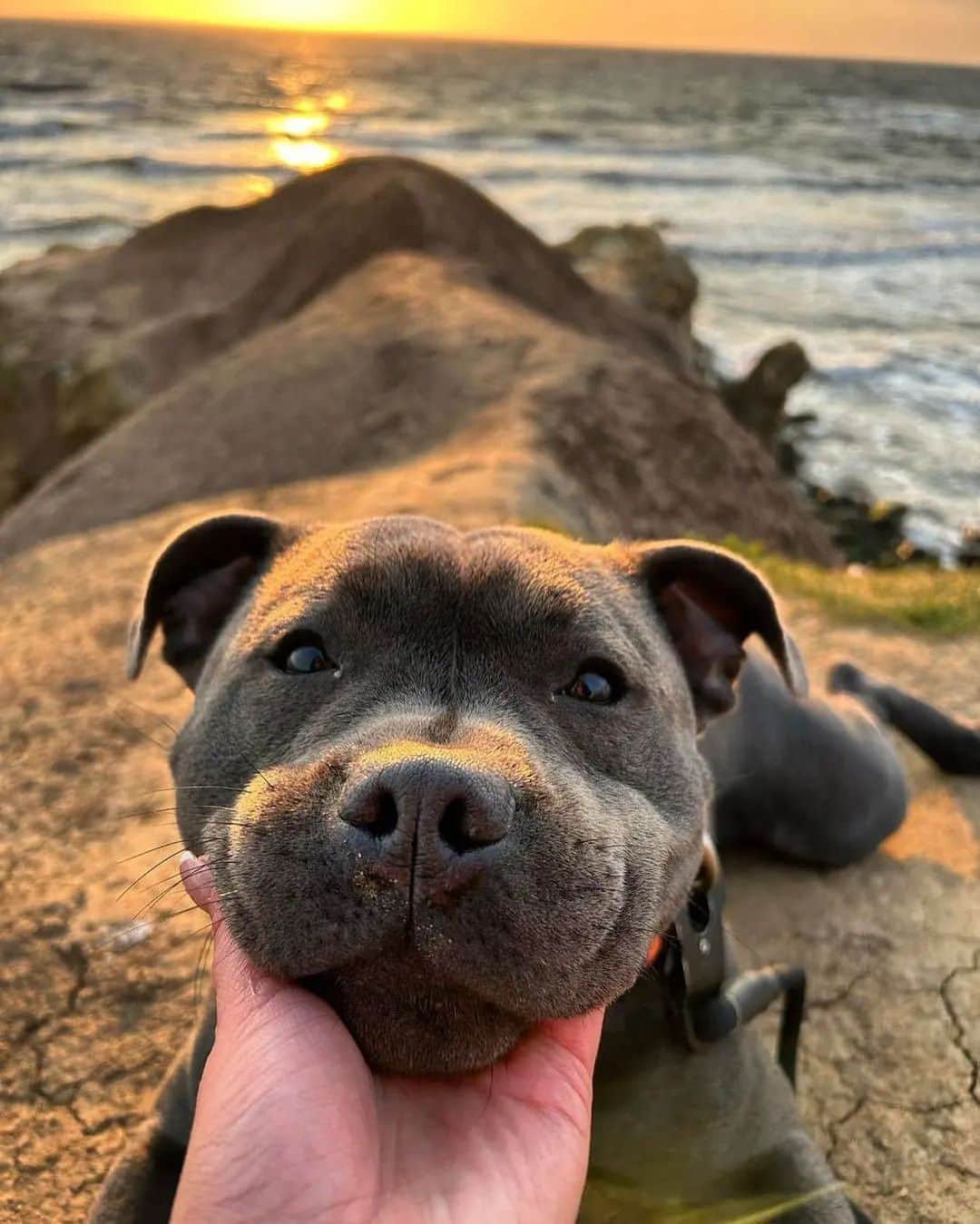のインスタグラム：「❤️」