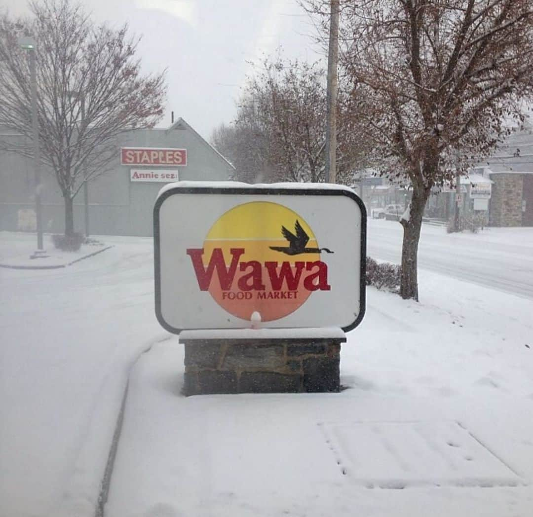 カット・デニングスのインスタグラム：「Is the world a nightmare vortex? Confirmed, hunty! So here’s a picture I had saved way back in my photos, I did not take it! However I do sometimes stare wistfully at pics of Wawa signs and that’s my beige flag I suppose」