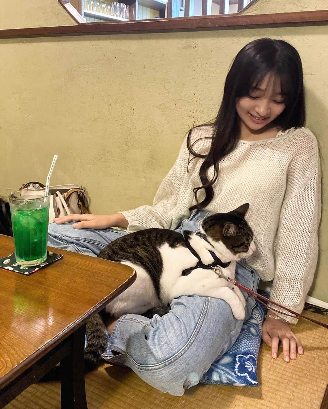 前野えまさんのインスタグラム写真 - (前野えまInstagram)「いつまでもこうしていたい🐈 ・ ・ #猫との時間  #猫カフェ  #ねこすたぐらむ  #にゃんだふるらいふ  #散歩かふぇちゃらぽこ   #cat  #catstagram  #catsofinstagram  #catlovers  #catlife  #catcafe」10月22日 8時02分 - maeno_ema