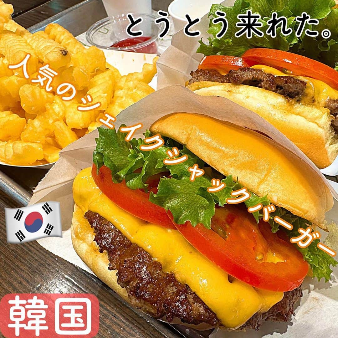とぎもちのインスタグラム：「. 【韓国 🇰🇷KOREA】  人気のバーガーチェーン店 shake shack burger（쉑쉑버거）🍔  初めてのシェイクシャックバーガー😍🍔  ジューシーボリューム 美味しかった😍😍  ポテトも最高🍟💓  #シェイクシャックバーガー #シェイクシャックバーガー韓国 #龍山駅 #龍山グルメ #韓国 #韓国バーガー #韓国グルメ #쉑쉑버거 #용산 #용산맛집 #とぎもちシェイクシャックバーガー #とぎもちバーガー #とぎもちシェクシェクバーガー #とぎもち龍山」