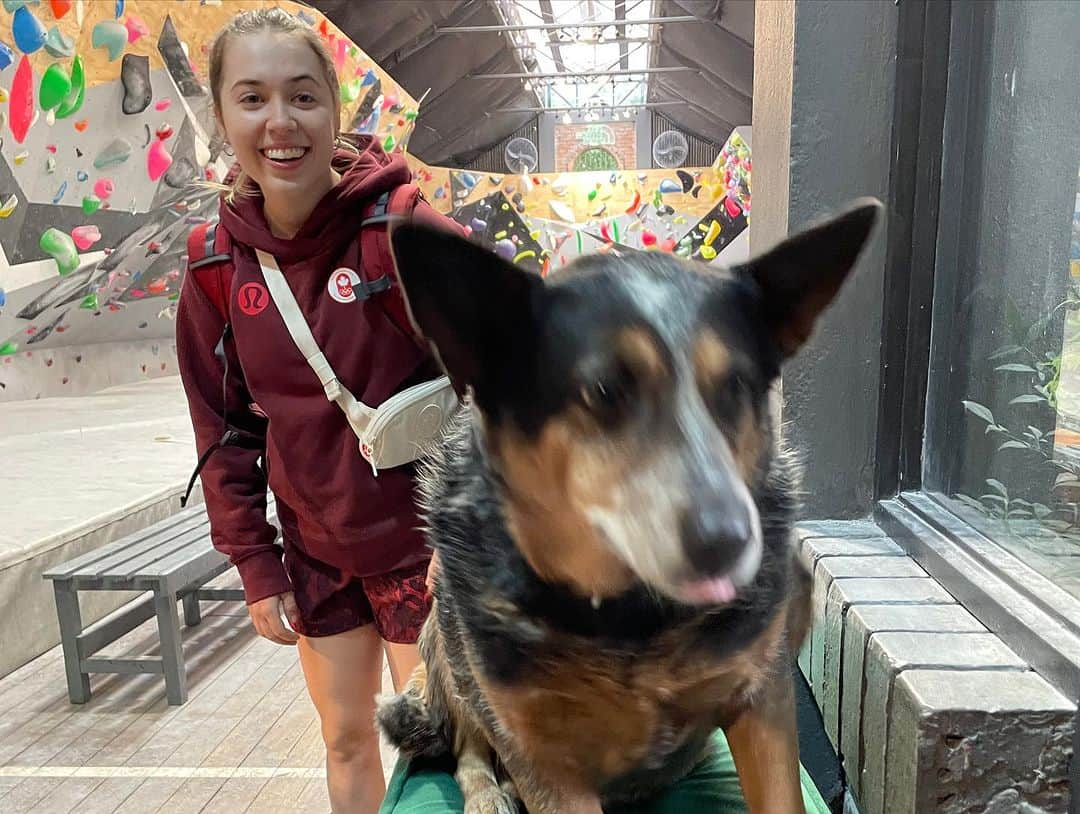 アラーナ・イップさんのインスタグラム写真 - (アラーナ・イップInstagram)「PanAm Games @santiago2023oficial so far: team pictures (lots of them), opening ceremony, training ft cute gym dogs, team board games, my cosy room  Tomorrow my competition starts with women’s combined semis. Let’s go! 😈」10月22日 9時03分 - alannah_yip