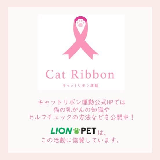 ライオン商事株式会社さんのインスタグラム写真 - (ライオン商事株式会社Instagram)「🎀キャットリボン運動🎀  10月22日は#キャットリボン の日🐈  みなさんは、猫の乳がん予防啓発プロジェクト 「キャットリボン運動」をご存知でしょうか❓🧐  この活動は、一般社団法人日本獣医がん臨床研究グループを中心に、乳がんで苦しむ猫をゼロにすることを目的としています。  ライオンペットは、キャットリボン運動のスローガンに 賛同し、2019年の運動発足時より協賛をしております。 （ライオンペット社員の名刺にも、キャットリボン運動のロゴが入ってるんですよ！）  キャットリボン運動公式HPでは、 「猫の乳がん」の知識やお家でできる「セルフチェック」、 各種イベント情報が公開されています！  ぜひ、チェックしてみてくださいね😊✨  ストーリーズハイライトからもご覧いただけます！  #キャットリボン運動 #広がれキャットリボン運動の輪 #乳がんで苦しむ猫をゼロにする #catribbon #獣医師 #愛玩動物看護師 #乳がん #乳癌 #猫の乳がん #乳腺 #乳腺マッサージ #セルフチェック #にゃんにゃん  #ねこ #にゃんこ #愛猫家と繋がりたい #ねこ部 #猫部 #catstagram #猫好き #にゃんすたぐらむ #neko #ねこもふ団 #ふわもこ部 #肉球 #lionpetcat #lionpet #10月22日」10月22日 9時03分 - lion_pet_cat