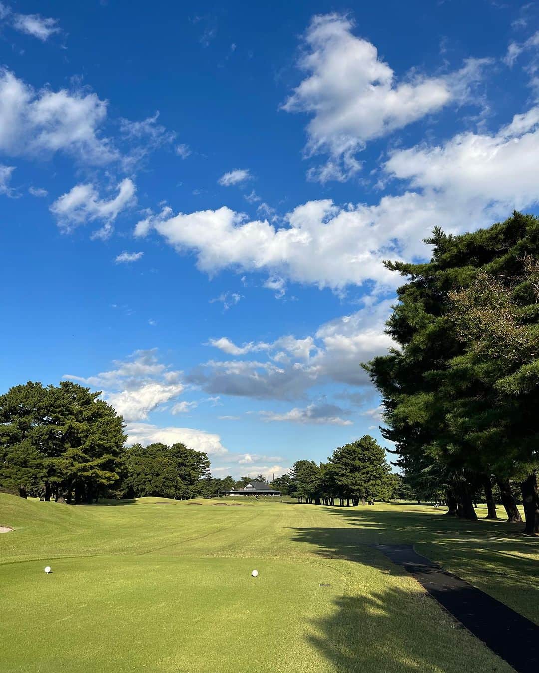 東尾理子のグルメインスタ