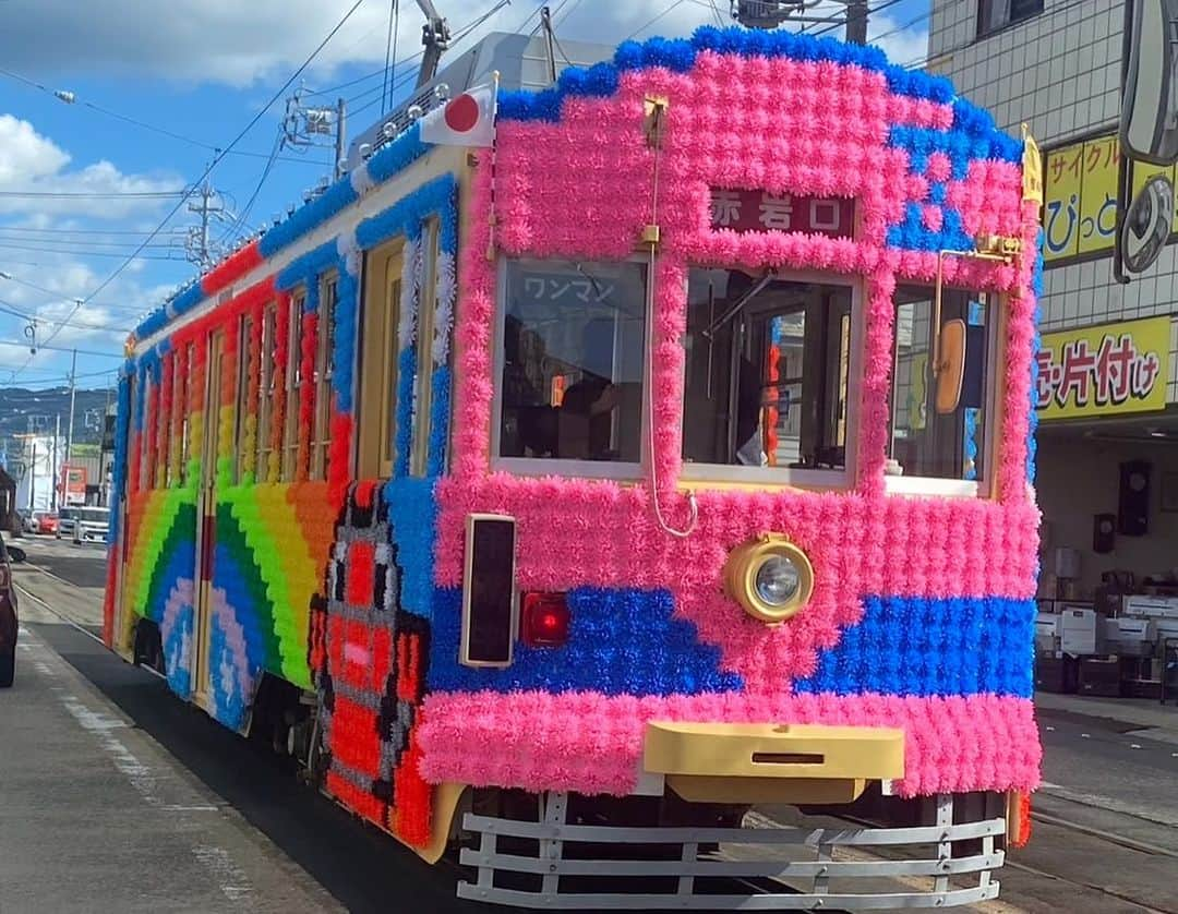 nokosさんのインスタグラム写真 - (nokosInstagram)「秋の休日 ハイビスカスローゼル干し 棗摘み 花電車(豊橋まつり) 甥とキャッチボール(左肩痛める)」10月22日 10時21分 - _nokos_