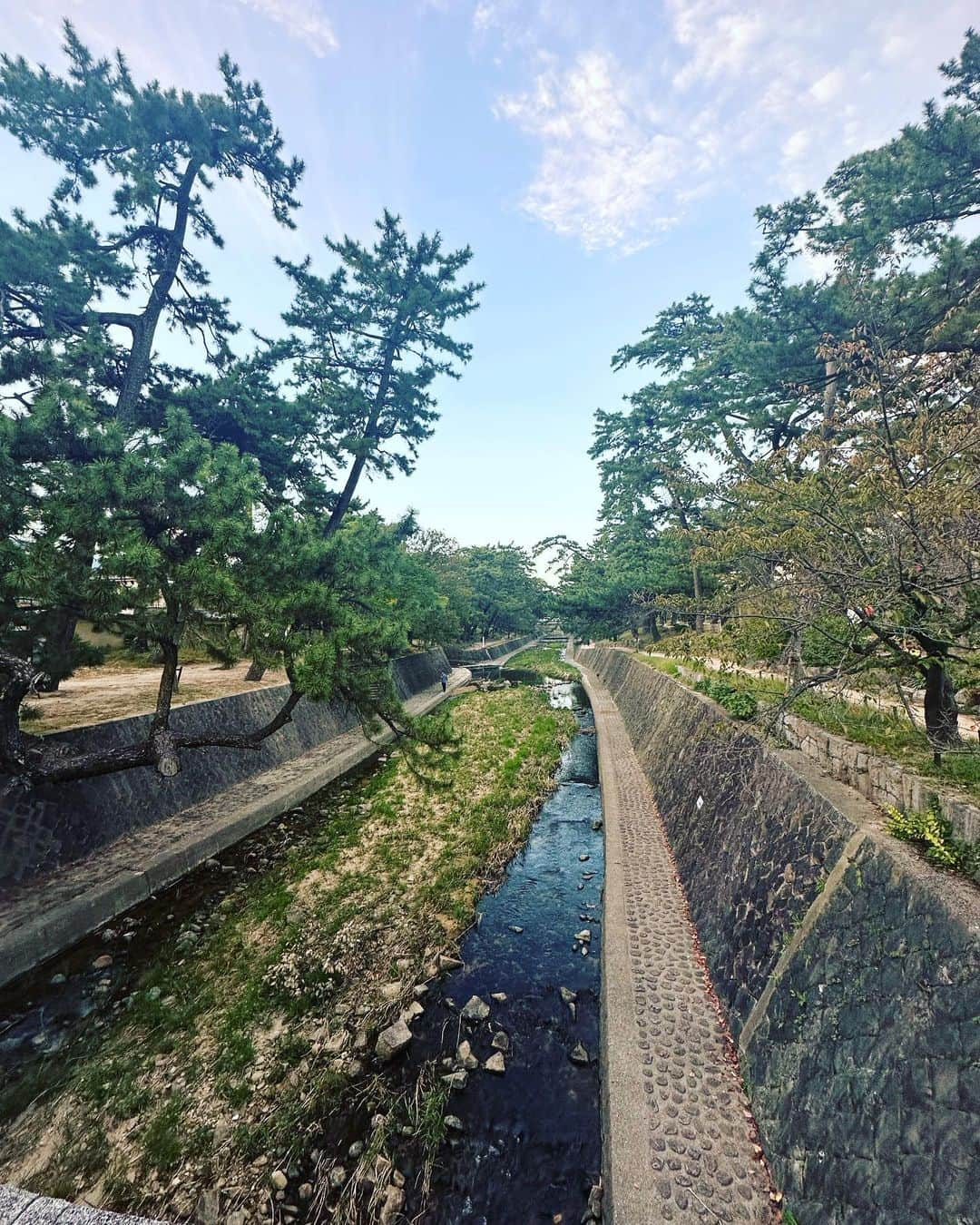 涼花美雨さんのインスタグラム写真 - (涼花美雨Instagram)「🚶‍♀️  #いつかのお散歩 #大好きな川 #昔から埋もれてるベンチ #金木犀 #大人の休憩所 #秋ですねぇ #happy」10月22日 10時30分 - suzuhana.miu_