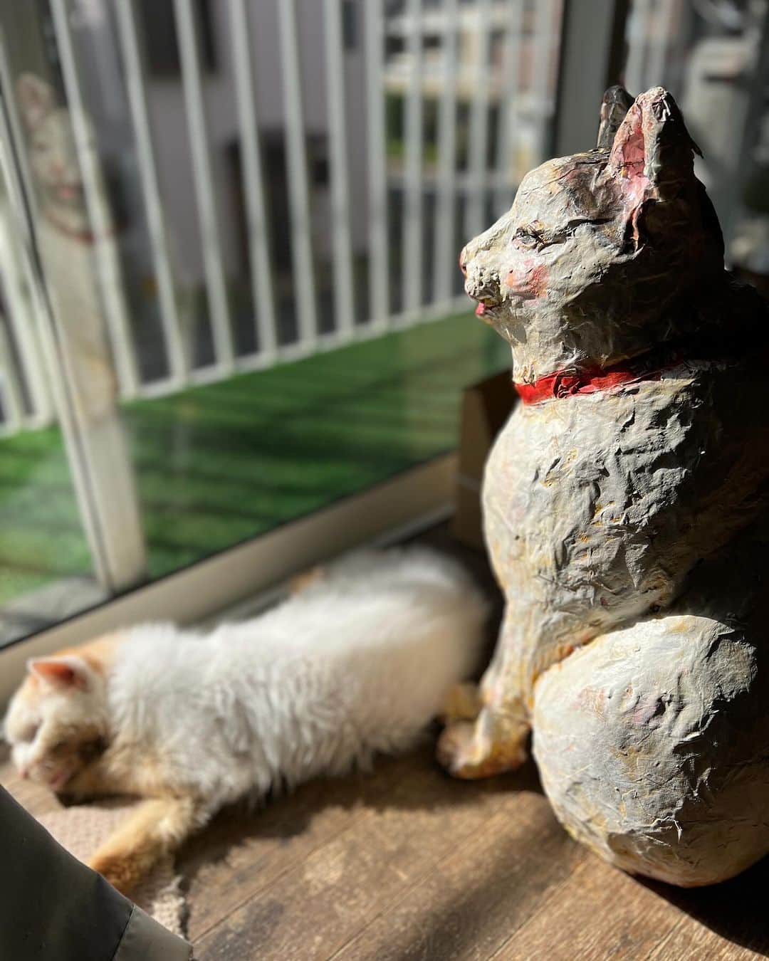 Kachimo Yoshimatsuさんのインスタグラム写真 - (Kachimo YoshimatsuInstagram)「作家のなかむらきりんさんから、 ヨウカンさんが亡くなった時に お借りしたきりんさんが作った ヨウカンさん｡ 今きりんさんが、吉祥寺のカフェひととてまで、28日まで個展やってるので、これを機にお返ししようと｡ ヨウカンさんが亡くなった時、 この張子のヨウカンさんに どれほど助けられたか。 やっと、お返しが出来ます。 ありがとうきりんさん｡  きりんさんの展示は、 吉祥寺　cafeひととてま にて 10月28日まで  #うちの猫ら #yohkan #なかむらきりん #猫 #ねこ #ニャンスタグラム #にゃんすたぐらむ #ねこのきもち #cat #ネコ #catstagram #ネコ部 http://kachimo.exblog.jp」10月22日 11時03分 - kachimo