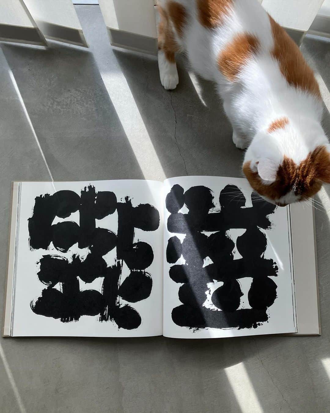 外山輝信のグルメインスタ