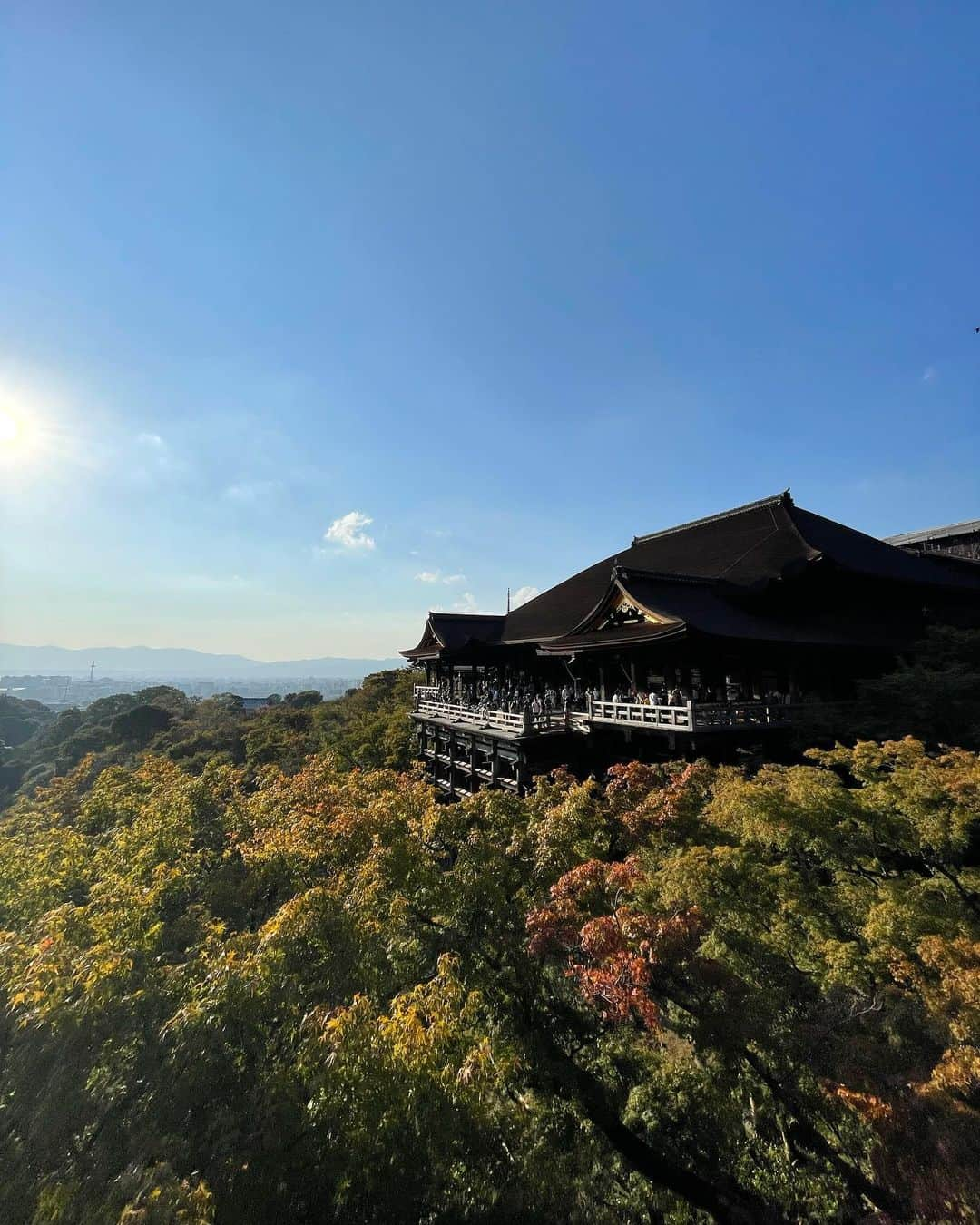 板橋よしえのインスタグラム：「. KYOTO🌿🍂🍁⛩👘🍵」