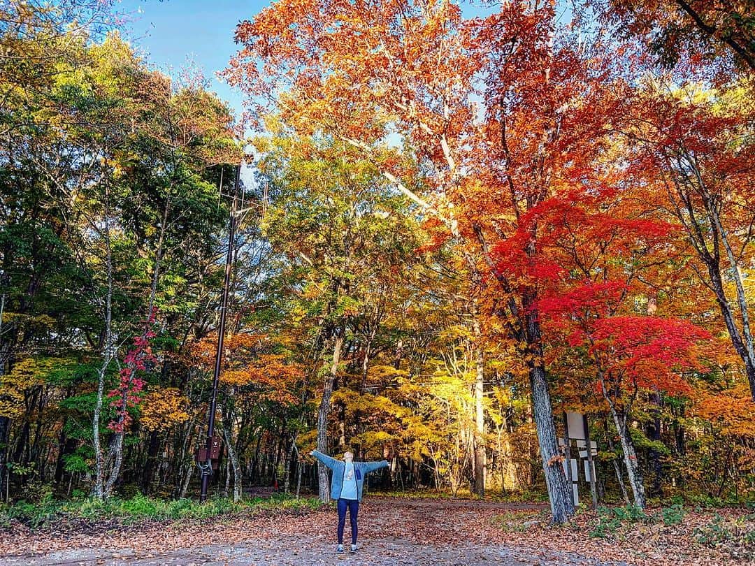 高松いくのインスタグラム：「🥶🍁✨  🌺沖縄→軽井沢🍁温度差20度以上（笑）  昨日の、友人の結婚式💒👰‍♀️と  今日のキャンプイベントヨガ🏕️🧘  改めて、大切に残す前に、とりあえず残しておきたい事  「寒い」🥶  軽井沢の道路の温度計🌡️🛣️『0℃』となっていて 壊れたのかと思ったら 壊れて無かった😳  しかし 寒いけど、美しかった🥺  ほんっっっっっっとうに、今、軽井沢の紅葉は  色を塗ったのか、街をアートしたのか🎨と思うぐらい  とっっっても！美しい四季の紅葉が広がっています😍  日本の四季って🇯🇵美しいわ〜❤️  そして  今日、とっても幸せな一日でした😌  朝4時出発🚗帰りは大渋滞😂  それでも、やっぱり、車の運転好きなんだわ〜🤣  今日の事は明日ゆっくり😊  ありがとうございました❤️  #軽井沢 #紅葉　#日本　#寒い #凍ってる #japan #karuizawa」