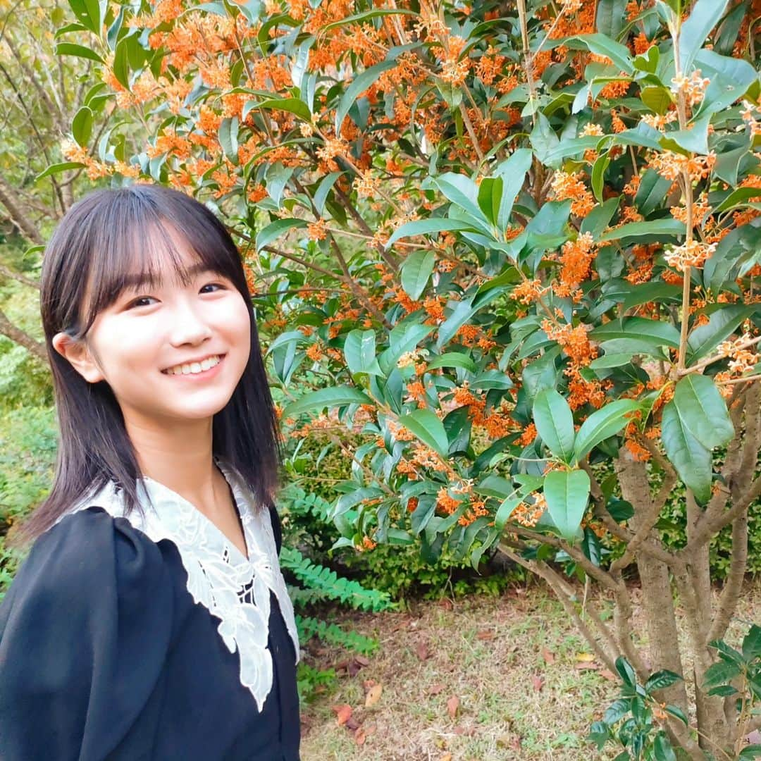 西川実花のインスタグラム：「昨日はたくさんのメッセージ等ありがとうございました🥺✨全て読ませて頂きました☺️  これからも頑張ります！(⁠`⁠･⁠ω⁠･⁠)⁠ᕤ🔥  写真は金木犀の写真です🌼金木犀の香り好きです🥰 #08#jc3#ljc#15yearsold#中学生 #snidel#モデル志望#女優志望#金木犀」