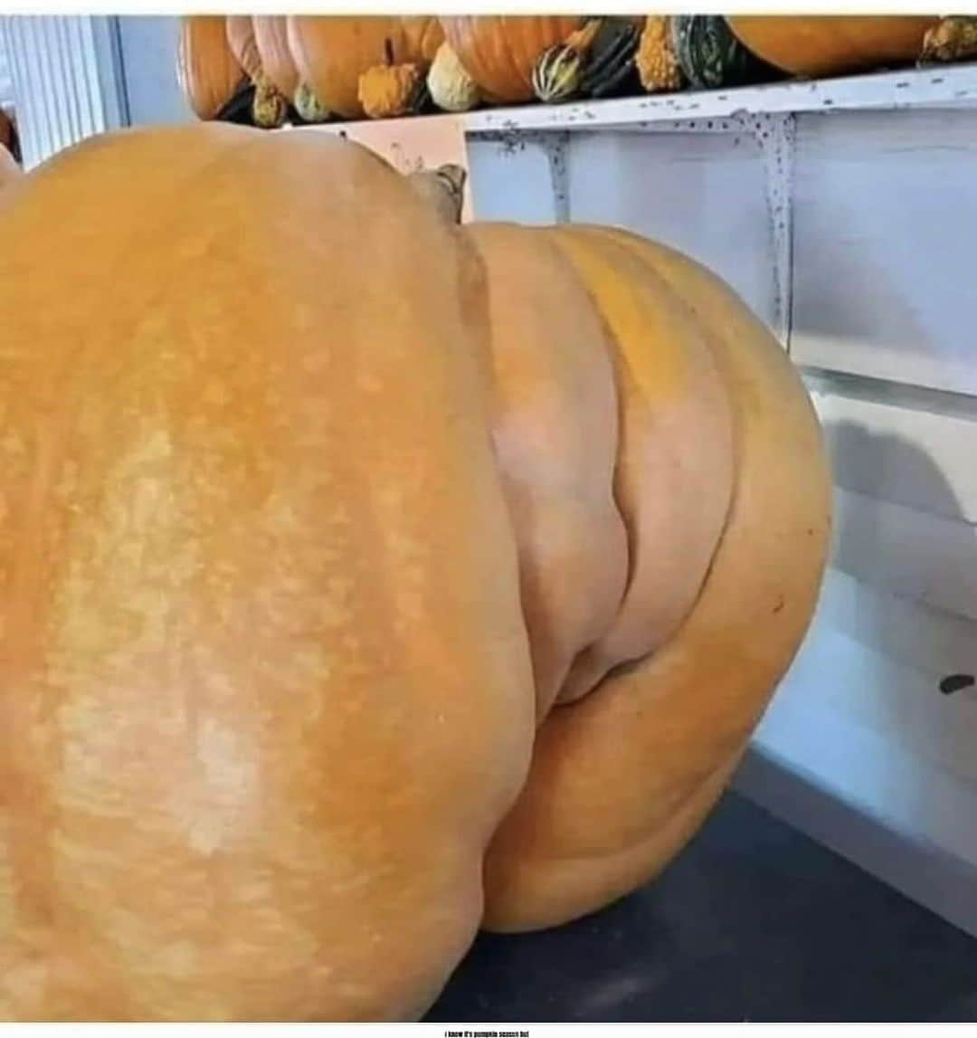 グレッグ・グランバーグさんのインスタグラム写真 - (グレッグ・グランバーグInstagram)「I googled “Greg Grunberg AI pumpkin”」10月22日 21時57分 - greggrunberg