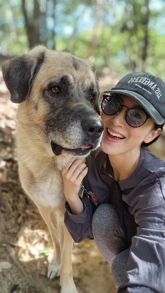 吉松育美のインスタグラム：「This is how I spent time during my favorite weekends❤️🐶❤️  バディ～と過ごす最高の週末😊 みんなはどんな週末でしたか？明日から月曜日❣️頑張りましょー👏👏👏  #dog #bigdog #kangaldog #kangal #犬のいる生活 #大型犬 #カンガル犬 #超大型犬 #hiking #hikingwithdogs #登山 #ハイキング」