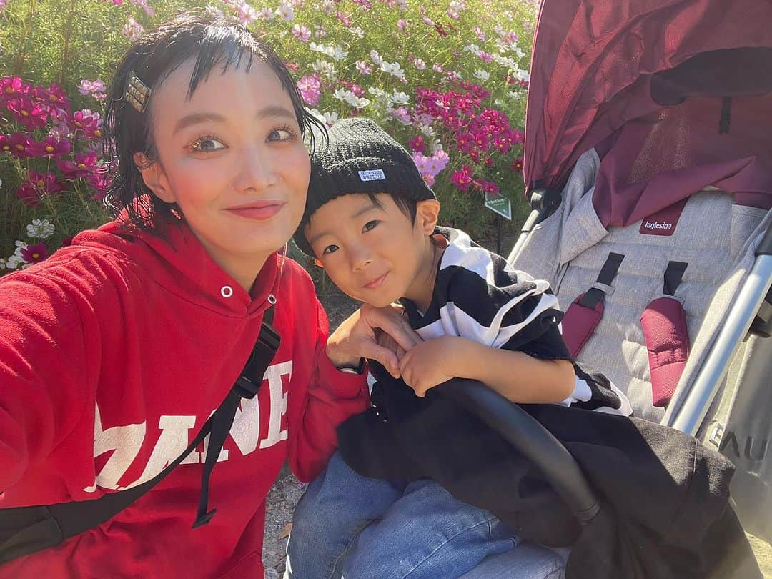 田中真奈美さんのインスタグラム写真 - (田中真奈美Instagram)「コスモスだ〜✨✨✨ 秋だな〜🥰 秋はお出かけが楽しい🎵 . 今日は久しぶりの動物園へ🦁 10時前に着いたけど動物園側の駐車場はいっぱいだったので植物園側の駐車場にとめました！行かれる際にはぜひお早めに🚗☀️ . 動物園に行くとリョータはいつも当たり前のように1人でフラッと顔ハメに向かいます😂お時間ありましたら最後の動画をご覧ください💓 シュンタのペンギン顔ハメもバッチリで可愛かった〜💓 . テンション上がるのはトラ🐅、キリン🦒、ペンギン🐧を見た時なんですが、それよりテンション上がるのは遊園地🎡エリアですよね💦そんなに上がる？！って言うシュンタの動画も残しときます💓笑 . 来週もどこに行きたいかをリョータからリクエストいただいてます😂小さいうちは一緒にいろんな体験と経験を楽しみたいですね💓 . あ、、、けど１つ困り事が、、、 「もうすぐハロウィン🎃👻だー😆😆」 って2人共言ってるんですが、私と旦那さんは😑😑、、、 「パパとママの時はハロウィンをする習慣が無かったんだよね〜😅😅」何かしなきゃなの？？ お菓子準備しとくか！！🍭🍭 . . . #リョータの秋遊び🌰  #シュンタの秋遊び🌰  #シュンタとママ💚  #福岡ママ  #コスモス」10月22日 22時12分 - manami717