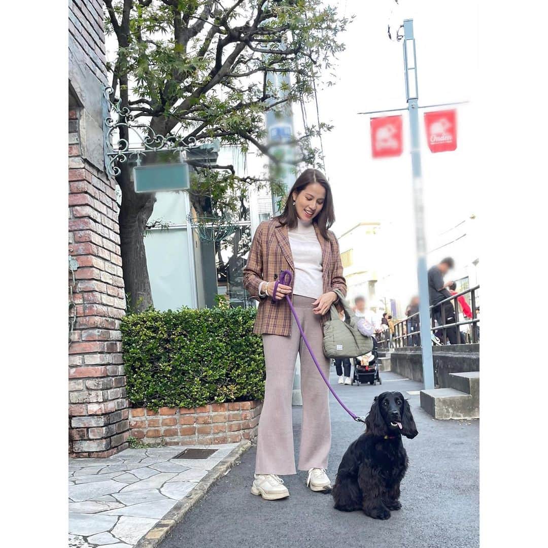 永島優美さんのインスタグラム写真 - (永島優美Instagram)「* メルシーとおでかけ🐾 過ごしやすい気候になってきたので いっしょにでかけやすくなりました😝🍁✨  #englishcockerspaniel  #dog」10月22日 22時12分 - yuumi_nagashima