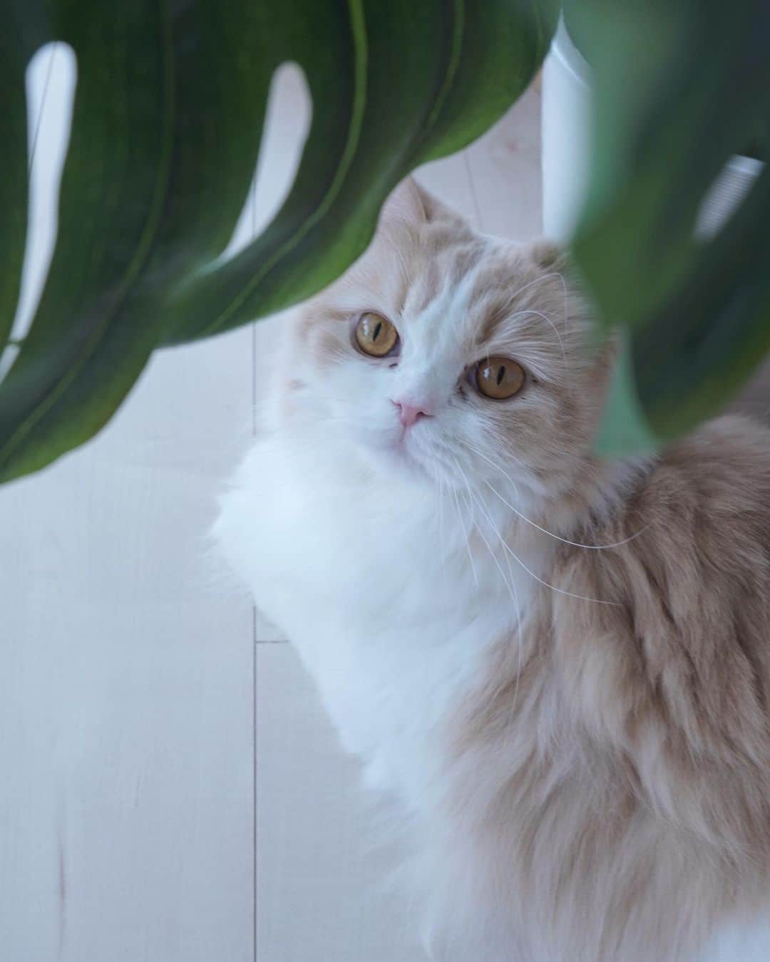 maari watanabe(まありん)のインスタグラム：「🐾🩷」