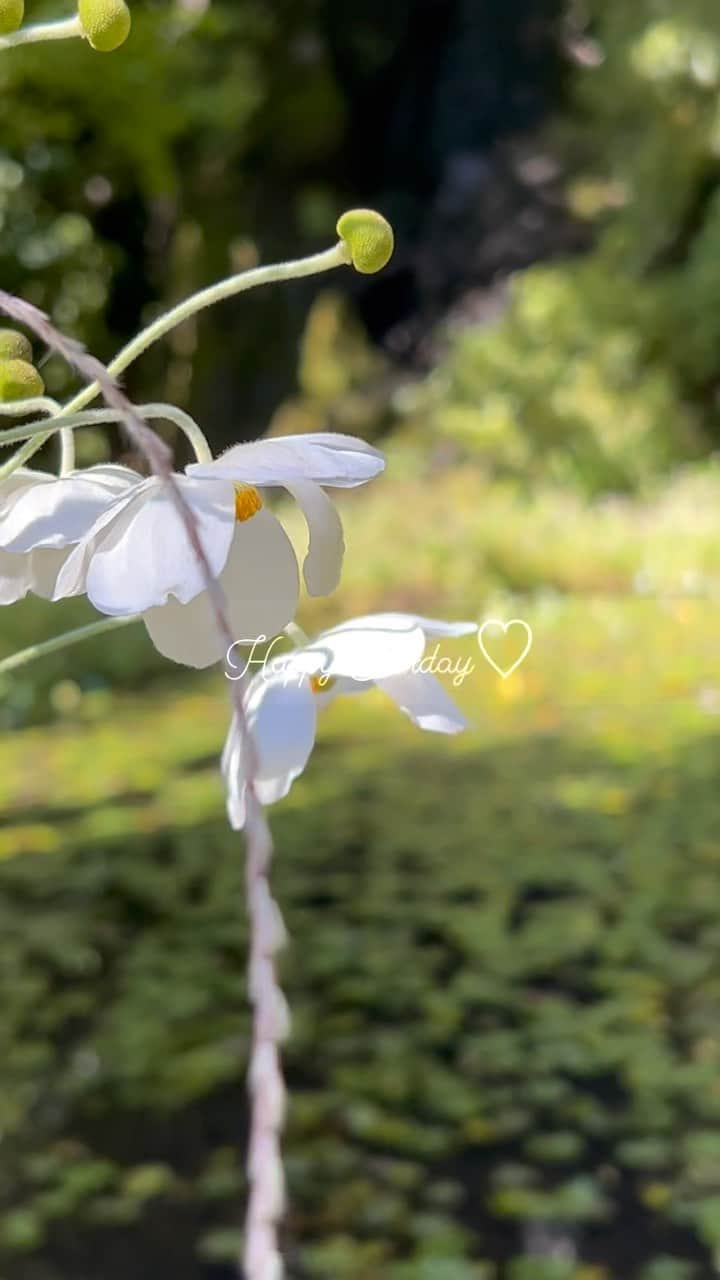 関谷桃子のインスタグラム：「ℱ𝓊𝓁𝓁 ℴ𝒻 𝓃𝒶𝓉𝓊𝓇ℯ🌿  お山に引っ越してきて よかったなって思う瞬間♡♡♡  #自然 #移住 #お山の暮らし #富士山 #ハイキング #散歩 #山道 #小川 #家族時間 #休日の過ごし方 #犬の散歩 #こどものいる暮らし」