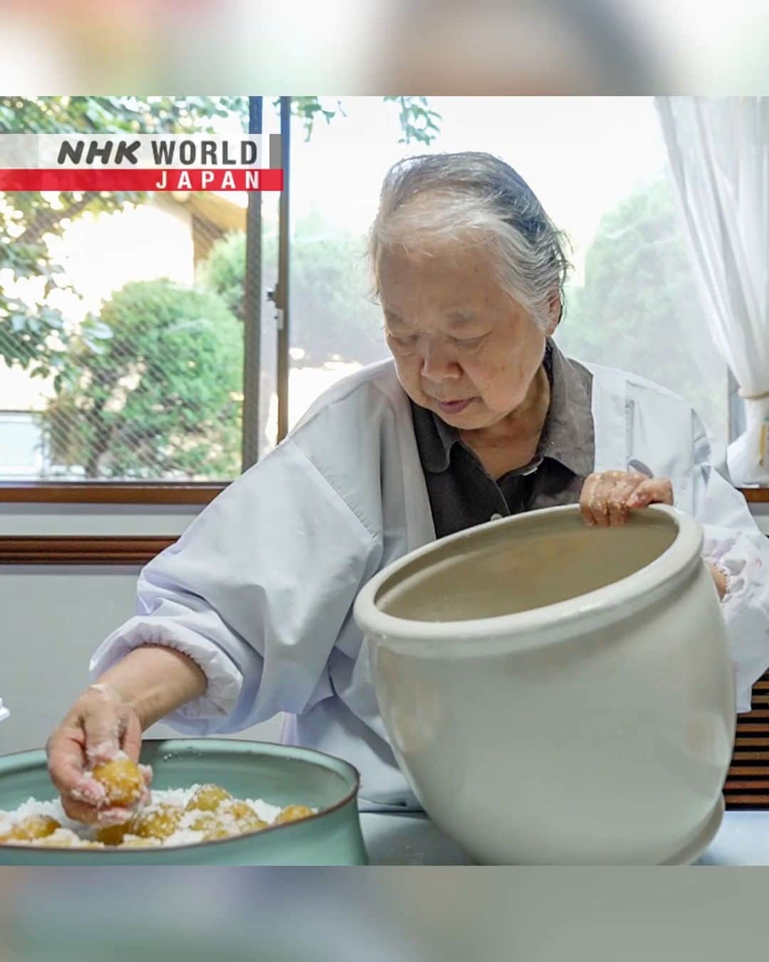 NHK「WORLD-JAPAN」のインスタグラム：「100-year-old-plus umeboshi pickled plums, found stored under the floor of a restaurant more than half a century ago, inspired Norimatsu Sachiko to start making these salty/sour delicacies.😋  To this day, those original umeboshi are still good to eat!😄 . 👉 Discover how this 82-year-old makes these traditional Japanese pickled fruits｜Watch｜Through The Kitchen Window: Passing on Pickled Plums for Posterity ｜Watch｜Free On Demand｜NHK WORLD-JAPAN website.👀 . 👉Tap in Stories/Highlights to get there.👆 . 👉Follow the link in our bio for more on the latest from Japan. . 👉If we’re on your Favorites list you won’t miss a post. . . #umeboshi #ume #perilla #shiso #sugitaume #akashiso #umevinegar #redperilla #redshiso #梅干し #しそ #pickledplums #fermentedfoods #fermentation #すっぱい #goodbacteria #japanfoodie #japanesefood #japanesecuisine #japanfood #japaneats #tokyo #discoverjapan #nhkworldjapan #japan」