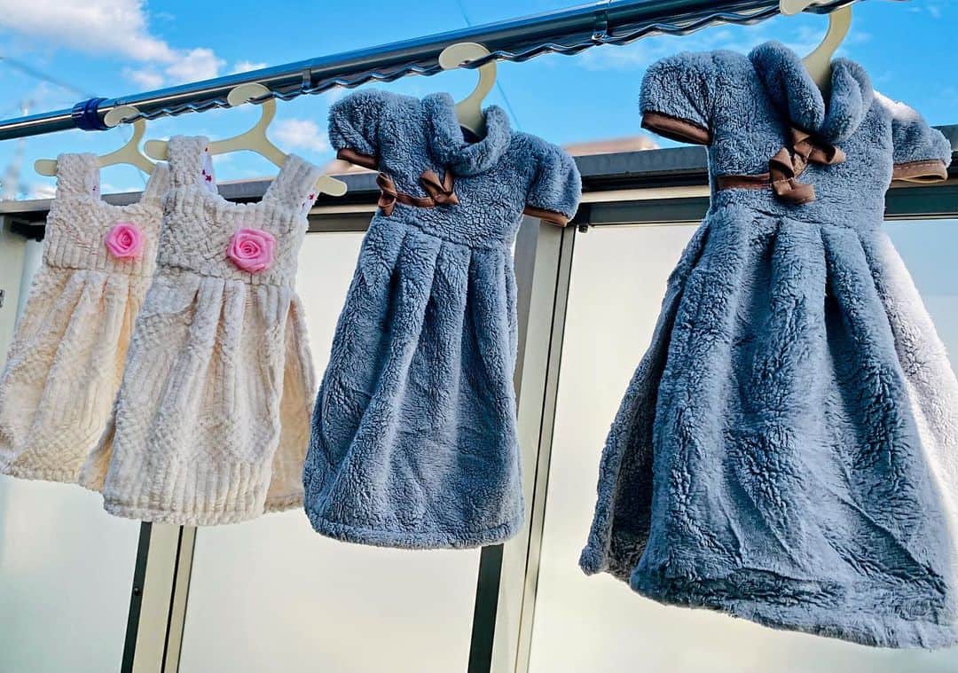 平松愛理のインスタグラム：「⁡ この子たち、届いたばかりの うちのハンドタオル ⁡ ⁡ 洗濯して 風に泳がせたら ピカピカに可愛くなった✨  大切に使おう ⁡ ⁡ ⁡  #ハンドタオル  #ワンピース」