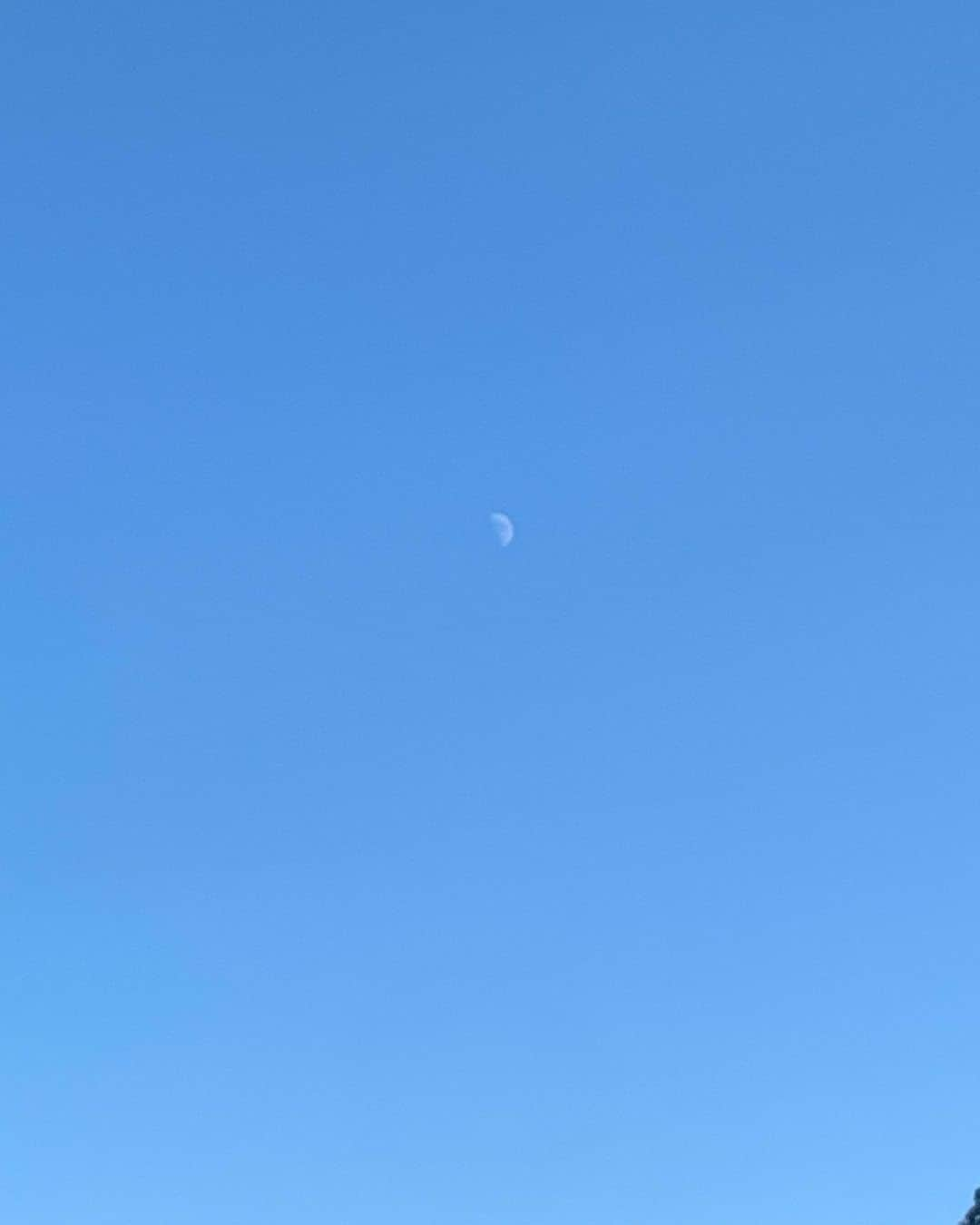 栗原類のインスタグラム：「昼間だけど、チラッと月が見える光景好きです。 #moon」