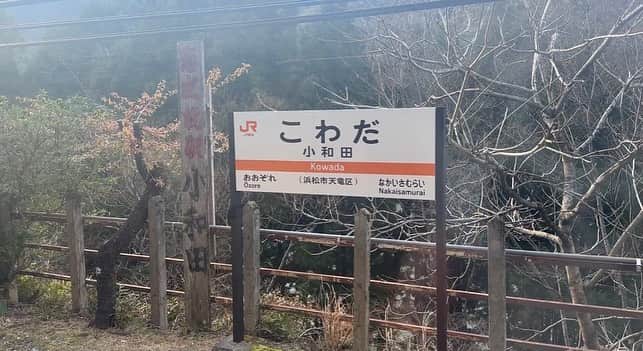 高山沙織さんのインスタグラム写真 - (高山沙織Instagram)「【最長片道切符の旅 振り返り♯20】 こんにちはアンドロイドのお姉さんです。  私はただいま新横浜駅に来ております。  今日も最長片道切符の旅進めていきます。 本日最初に乗る列車は東海道新幹線のこだま号  本日は東海道新幹線から東海道線在来線に乗り換え、また東海道新幹線に乗ってから東海道線の在来線に乗って愛知を目指すという不思議なルート。 最長片道切符の旅では新幹線と並行在来線は同一とするというルールがあるのですが、この東海道線の区間は少し特殊で、新横浜・新富士 という新幹線の単独駅をうまく経由することで前日に通った東海道線の区間を避けて同じルートを2回通らないようになっています  さて、次に乗っていく列車は特急踊り子。静岡県の三島駅に向かいます。  乗車してから37分で三島駅に到着。 ここから再び東海道新幹線に乗り換えます。 私は車内でお昼ご飯のことを考えていたのですが、静岡名物”さわやか”のハンバーグを食べたいなぁとサイトを覗いてみるとなんと100分待ち。 100分も待ってたら今日の工程ぐちゃぐちゃになっちゃうよということで断念、さわやかに立ち寄ることなく普通列車で浜松駅を目指します。  そこから愛知県の豊橋へ。 30分ほどで愛知県豊橋駅に到着。 東海道線、怒涛の乗り換えで一仕事終えた気分ですね。 ということで遅めのお昼ご飯を食べに行きます。  豊橋で定番のランチといえばスパゲッティチャオのあんかけパスタかなと思うのですが、今日はパスタの気分じゃなかったので創業100年の老舗うどん・そば処「せがわ本店」さんにやってきました。 豊橋はカレーうどんが有名で迷わず注文。 一見普通のカレーうどんに見える豊橋カレーうどん。 うどんを食べ進めると下からとろろご飯が出現するのです。 まさかの二層構造。もうボリュームがすごい。うどんを食べ終わったら薬味を入れてカレーとろろご飯にしていきます。 これもまた一味違った感じで美味しいんですよね。  ちょっとお腹いっぱいで動きたくないのですが、もうそろそろ電車の時間なので駅に戻ります。  さて、ここからが今日の旅の本番。 飯田線の普通列車に乗っていきます。 飯田線は愛知県の豊橋駅から長野県 辰野駅までを結ぶ全長195.7kmの巨大なローカル線。 私が乗り込むのは14時42分発 岡谷行きの飯田線普通列車。飯田線の終点辰野を超えて中央本線の岡谷まで約7時間かけて結んでおります。これは運行時間だと日本一長い普通列車ということになりますね。  というわけでここから7時間怒涛の普通列車の旅が始まります。  30分ほど走ると車窓が一気にのどかな風景に変わっていきます。 この頃には乗客もほとんどいなくなりました。飯田線を乗り通すのなんてよっぽどな物好きがマニアぐらいしかいないでしょうね。   乗車してから1時間30分ほどで愛知県と静岡県の県境のトンネルを通ります。  ほとんど貸切りの飯田線。 長時間乗ってると家みたいな落ち着き感が出てきます。 朝、小田原で買ったみかんを食べるなど。  途中の中部天竜駅で15分ほど停車時間がありました。終点岡谷ではあと5時間弱。 座りっぱなしだと血流が滞るのでこういうタイミングで運動をしないと飯田線走破は厳しそう。  三郷駅ですれ違ったのは特急伊那路号。 飯田線にも1日2往復だけ特急がありまして、本当はこれに乗りたかったのですが、時間的に諦めたのです。 さて、列車は飯田線の秘境ポイントに差し掛かってきました。 飯田線は山の中を走るので秘境駅がたくさんあります。 その中でも全国秘境駅ランキング第3位の小和田駅に到着。 道路もなく最も近い集落までも片道1時間かかるという人里離れた秘境駅 。 秘境駅のロマンに惹かれ一度降りてみたい気もしますが今日中に終点岡谷まで行かなきゃならないので断念。  その他秘境駅ランキング上位の駅も通り過ぎていきます。  そろそろ日が暮れてきた頃、列車は下山村駅に到着。 ここは”下山ダッシュ”という競技が有名で下山村駅から五つ先の伊那上郷駅までの線路は大きくΩ状に迂回しており、6.4kmの距離があります。ただ、直線距離だと2kmしかないので電車を逃しても走ったら追いつけるのではというチャレンジなのです。   出発してから4時間16分飯田線の中でも中心駅である飯田駅に到着。  21時26分列車は飯田線の終着駅 辰野駅に到着しました。 ここからそのまま中央本線に乗り入れこの列車の終点 岡谷駅に向かって行きます。 ということで6時間55分乗車、約7時間で長野県の岡谷駅に到着しました。  いやー長かったですね。 確かに長かったんですけど最初思ってたほど苦痛ではなく、移り変わる景色や突如現れる秘境駅にと、むしろ楽しかった もう1回乗れと言われたらちょっと遠慮したいのですが……。  到着した頃には時刻はもうすっかり夜になってしまいました。  本日はここからもう少しルートを進めて塩尻駅にゆきそこで宿泊お疲れ様でした。」10月22日 15時32分 - saotvos