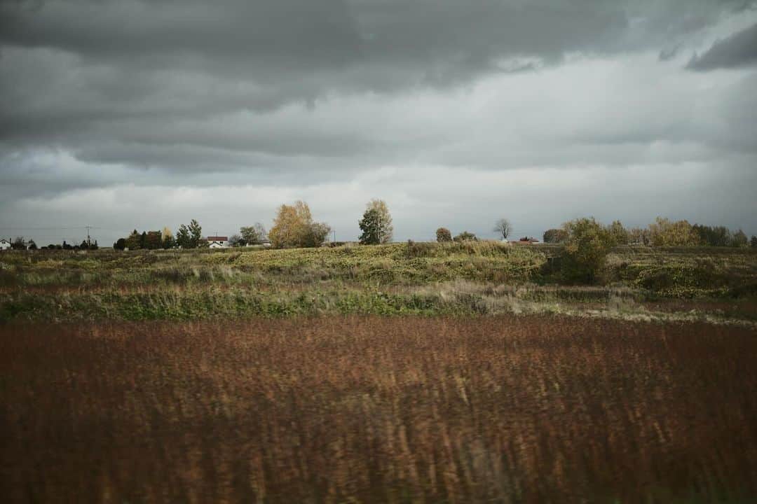 谷尻誠のインスタグラム：「ひと足早く秋の訪れ。 あっという間に冬の気配。 Autumn has come early. In the blink of an eye, winter is in the air.」